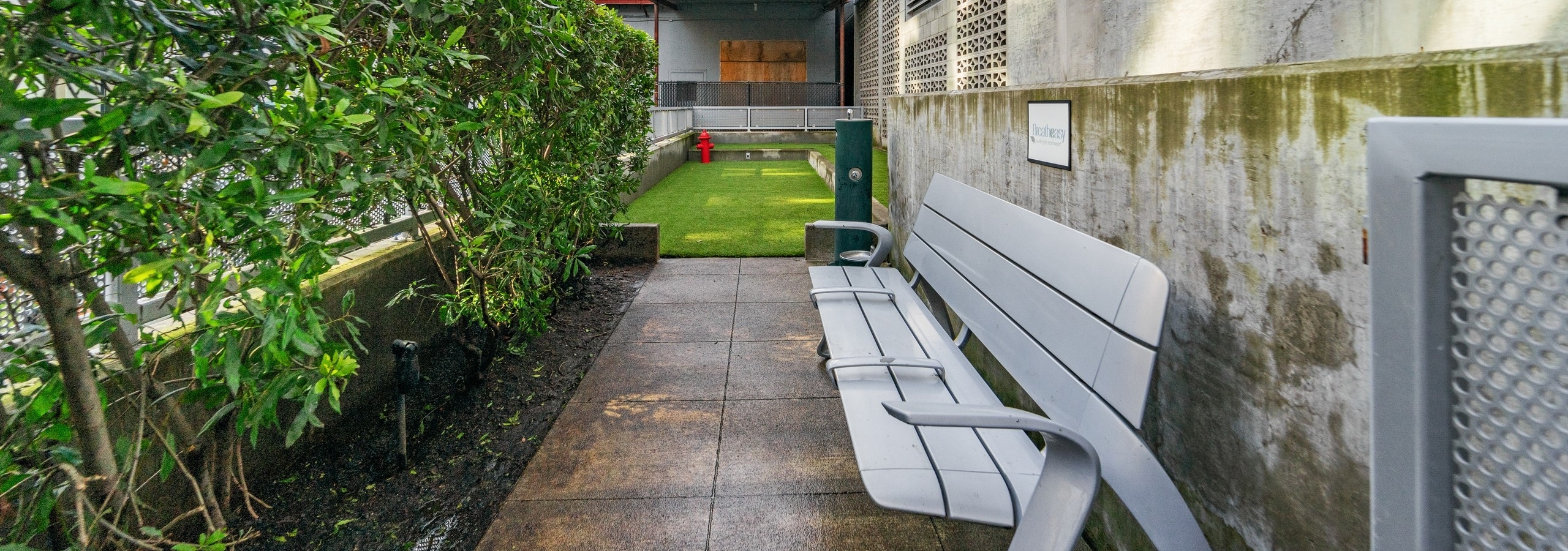 AMLI South Lake Union outdoor paw park with large grassy area and red fire hydrant and silver bench across form bushes