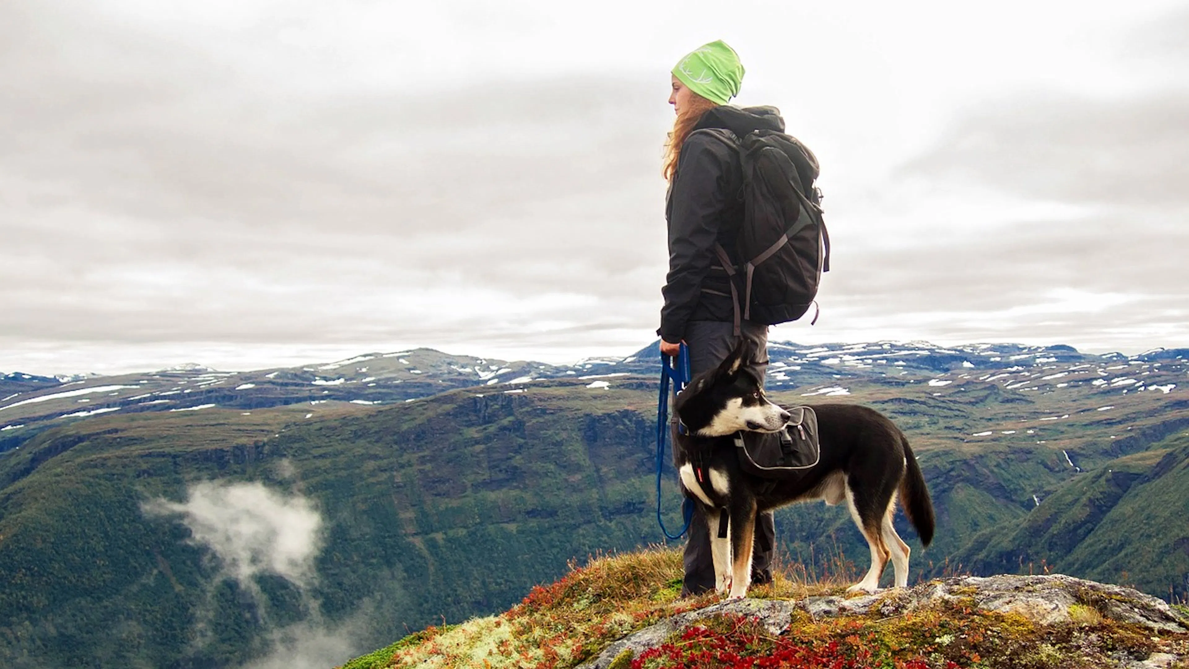 A woman standing with her dog on top of a mountain overlooking a wide valley