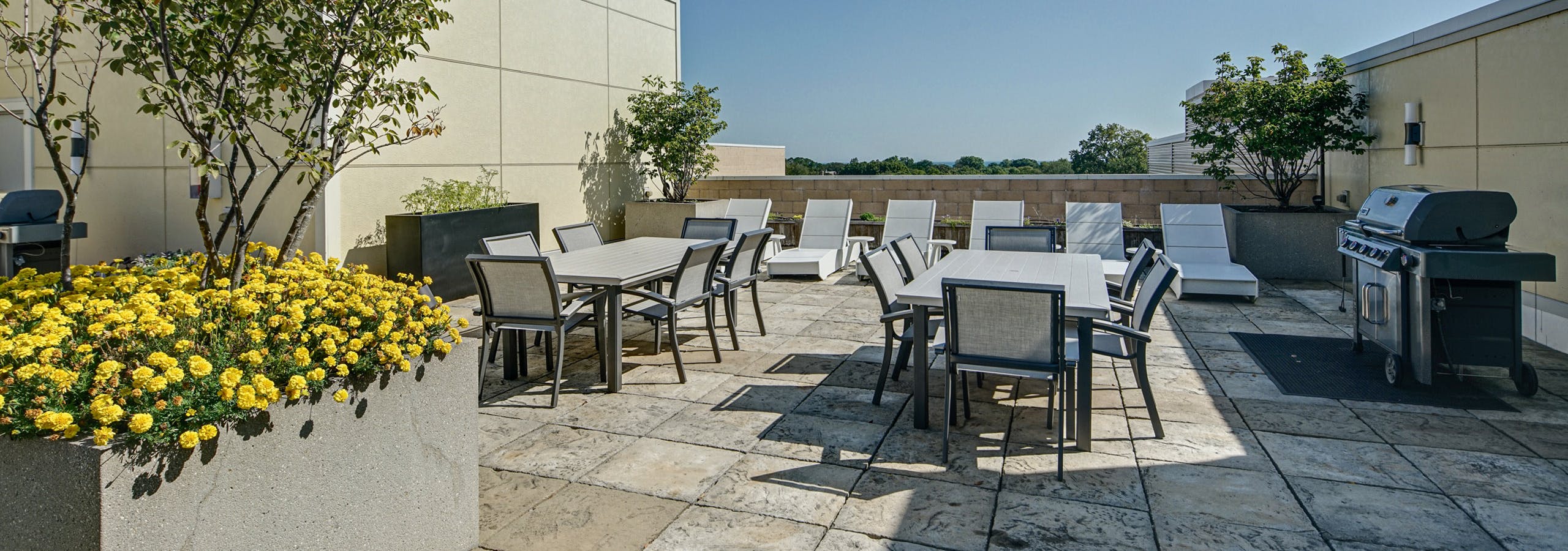 Rooftop at AMLI Evanston apartments with lounge chairs and outdoor dining sets in front of grill with tress and flowers