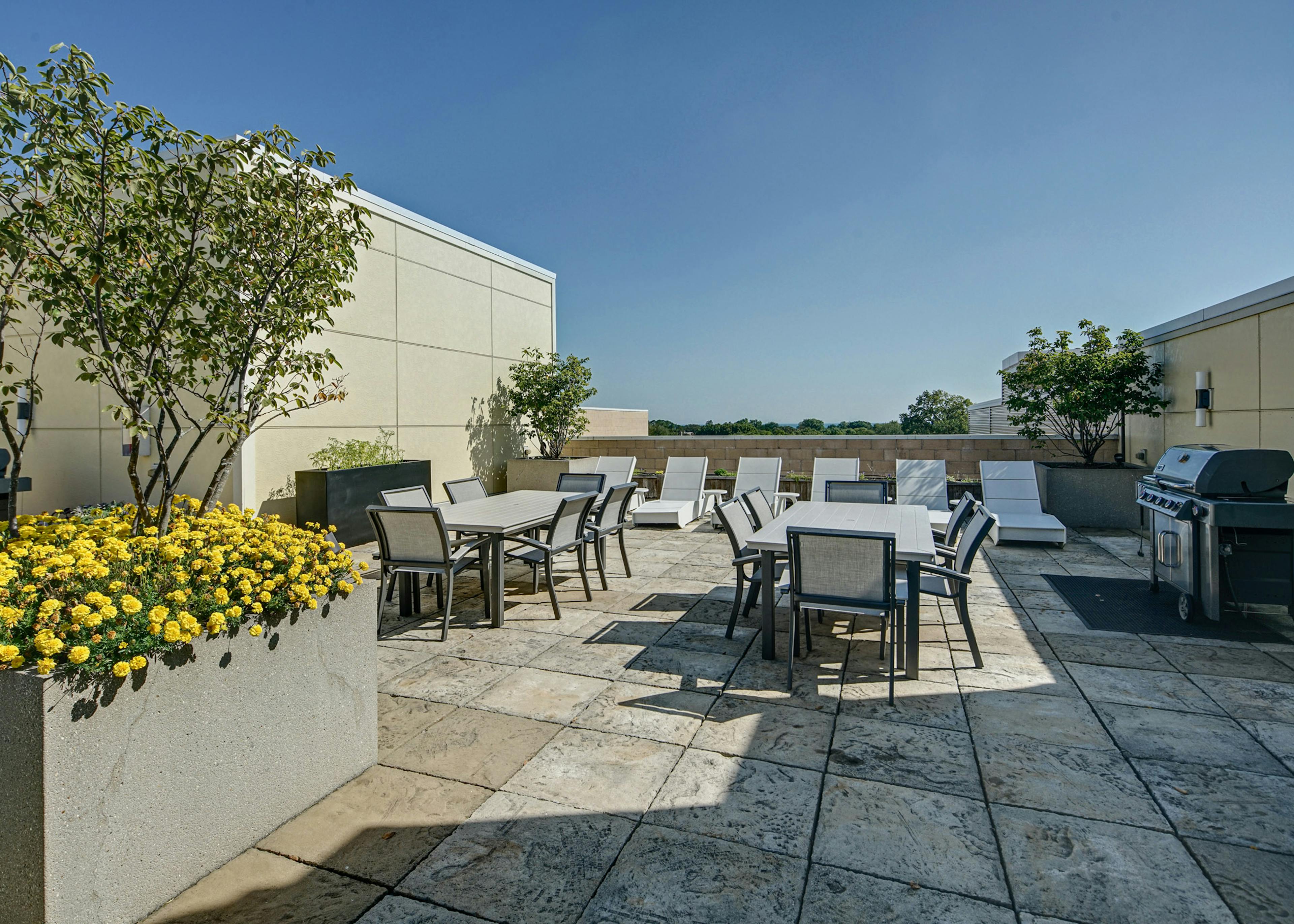 Rooftop at AMLI Evanston apartments with lounge chairs and outdoor dining sets in front of grill with tress and flowers