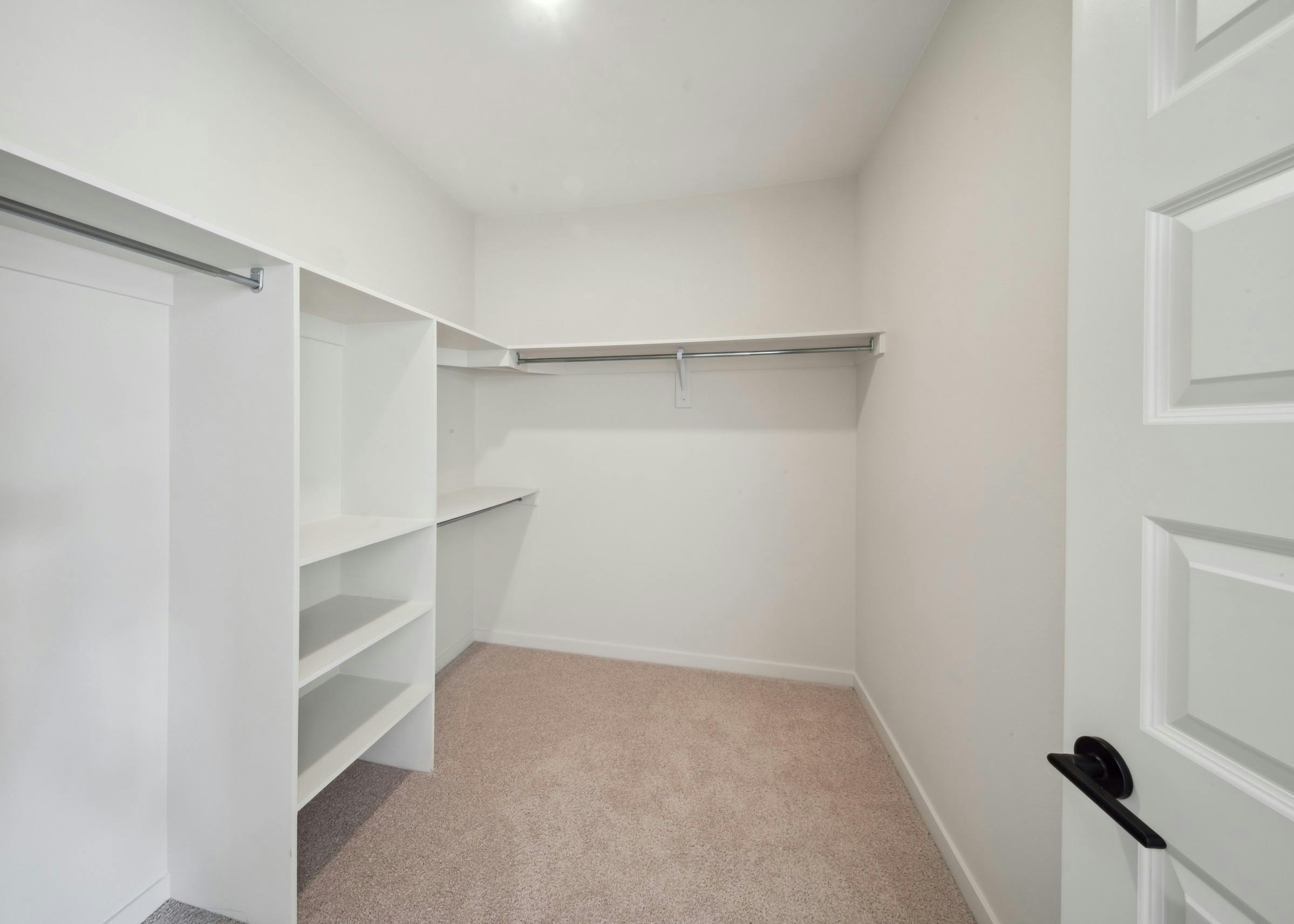 Interior view of AMLI Broadway Park walk in closet with built in shelves and hanging poles and beige carpeted floor