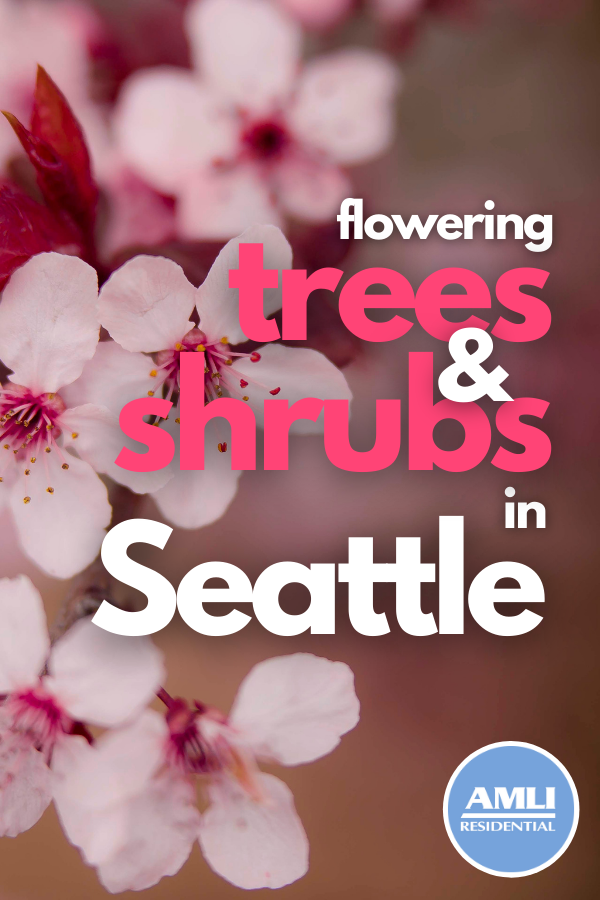 Common Flowering Trees and Shrubs in Seattle