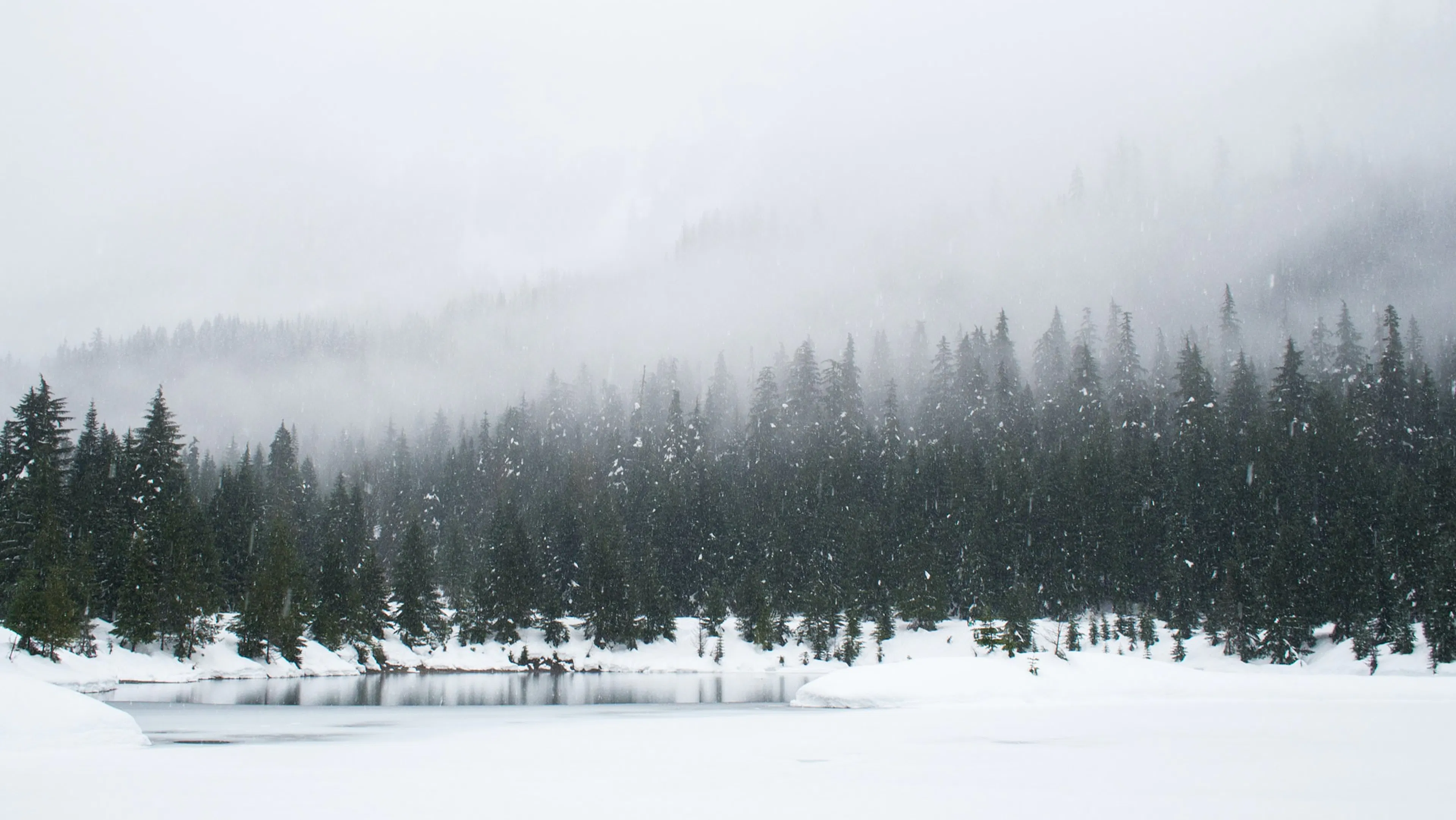 A snowy landscape of a pond and a forest obscured by clouds and snow