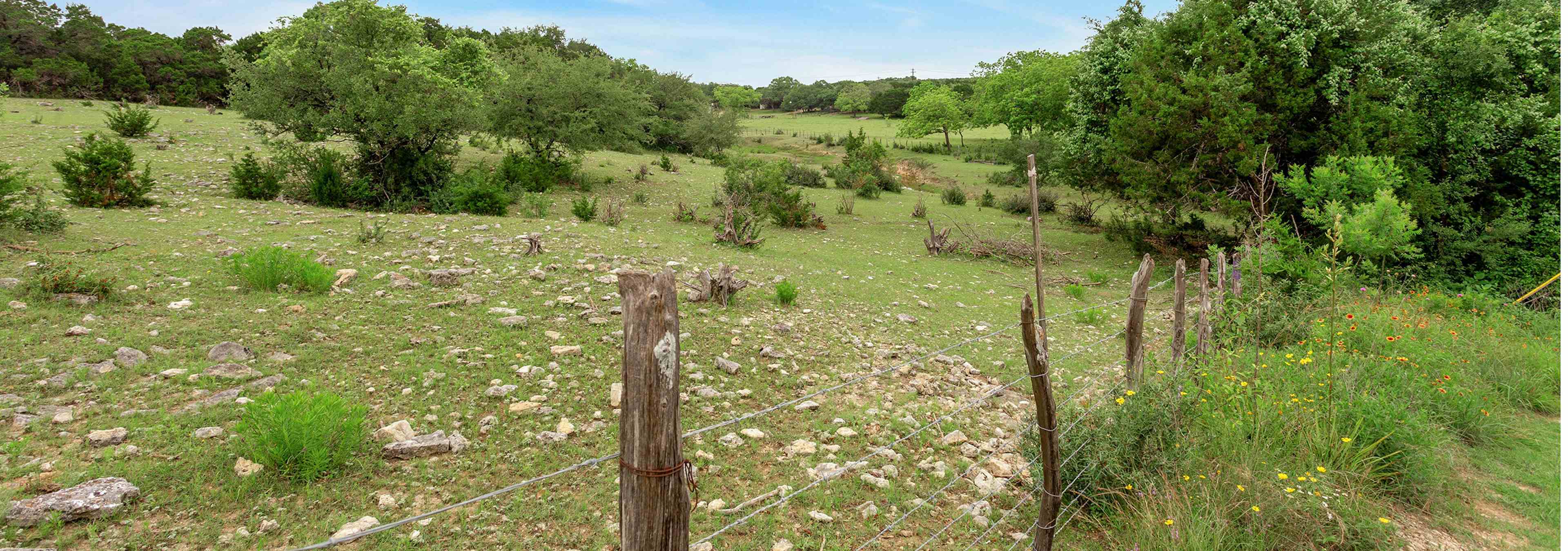 Daytime view from AMLI Covered Bridge of Austin Hill Country with lush green grass, shrubbery and mature trees