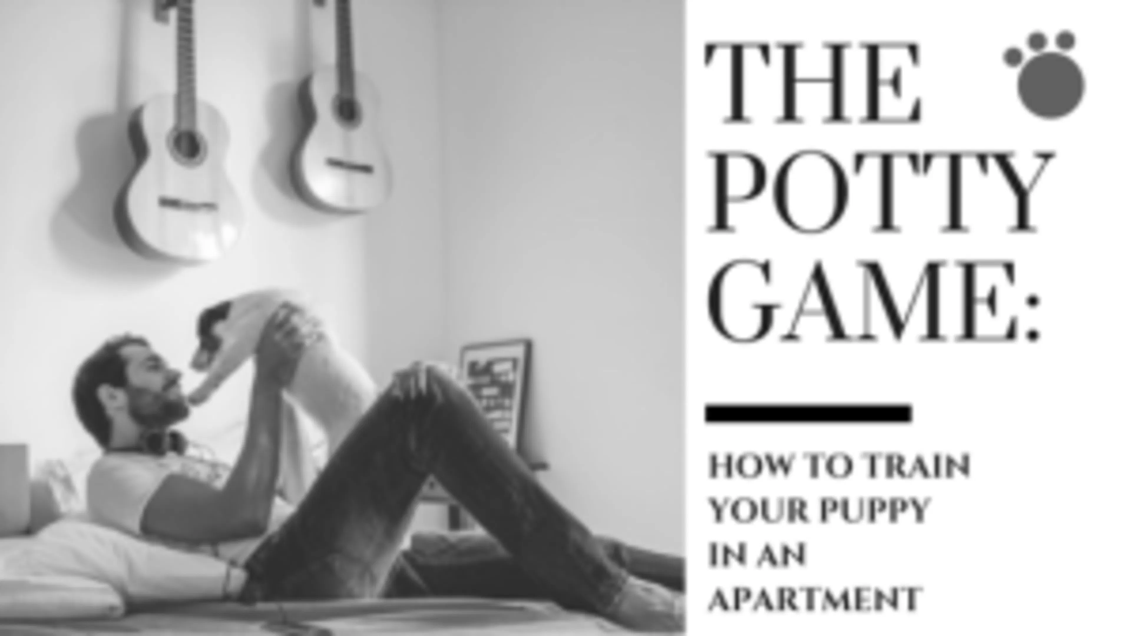 The Potty Game- How to Train Your Puppy in an Apartment
