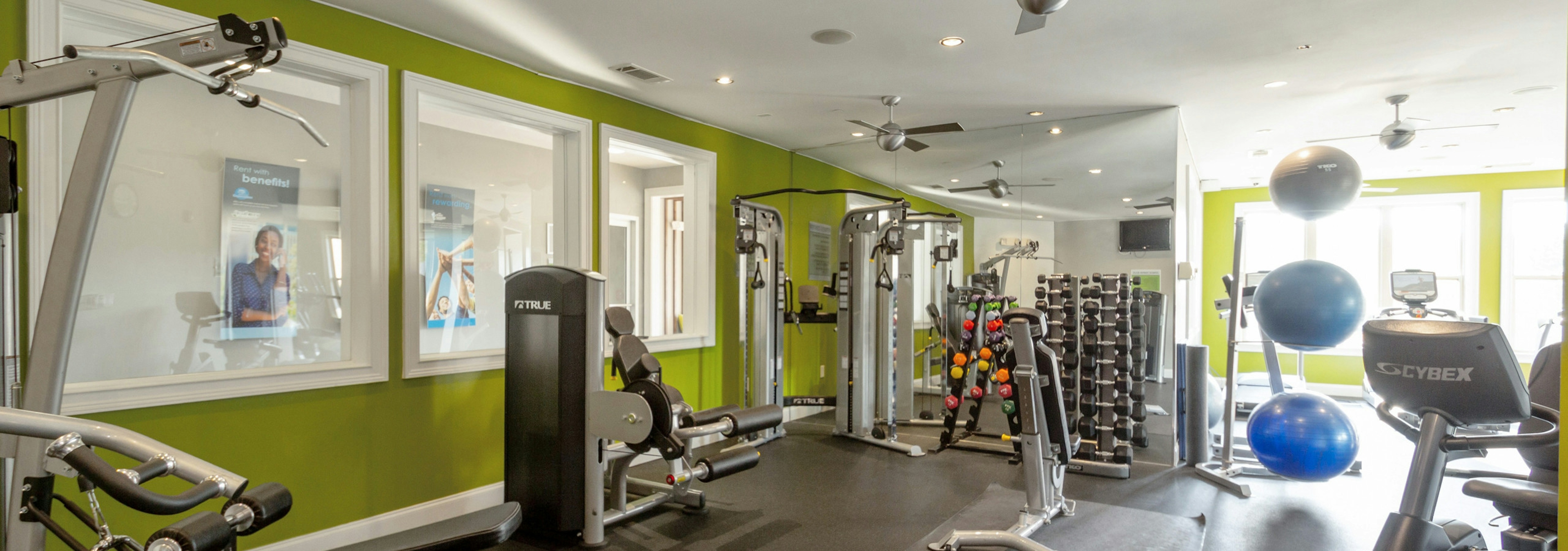 Interior of AMLI Lindbergh gym amenity with green walls and fully equipped fitness equipment with three blue exercise balls