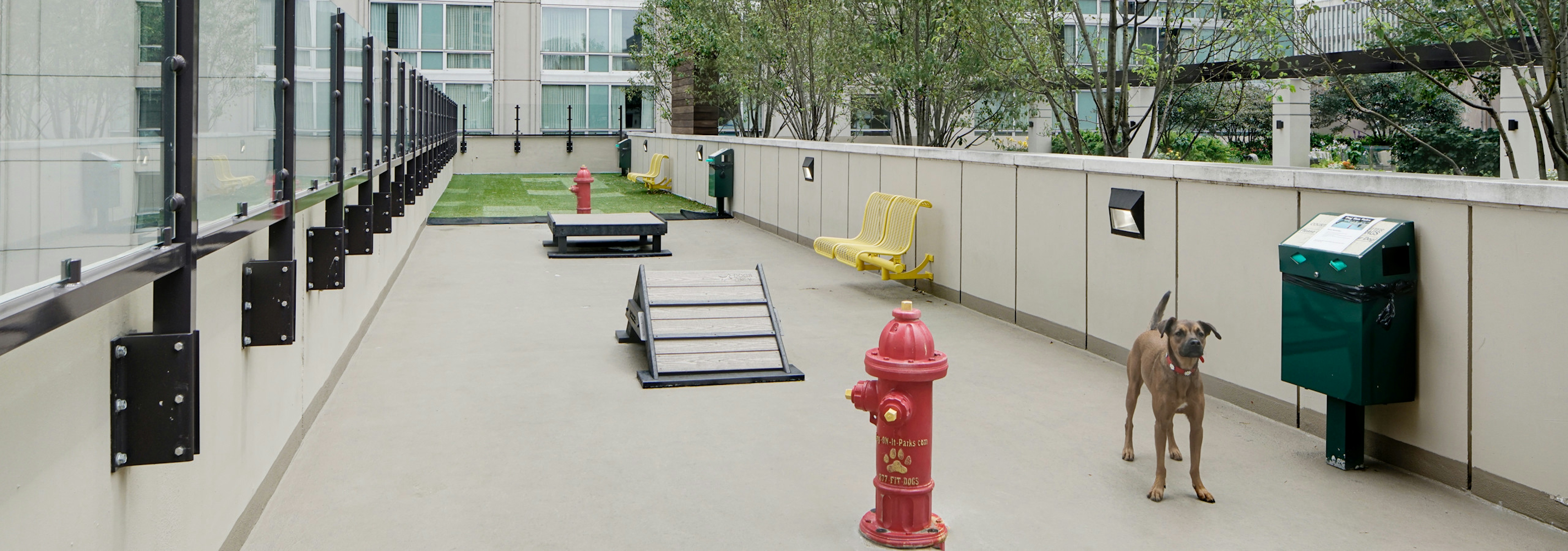 Dog park at AMLI River North with artificial sod grass in the back and enclosed free space with a few obstacles for pet play