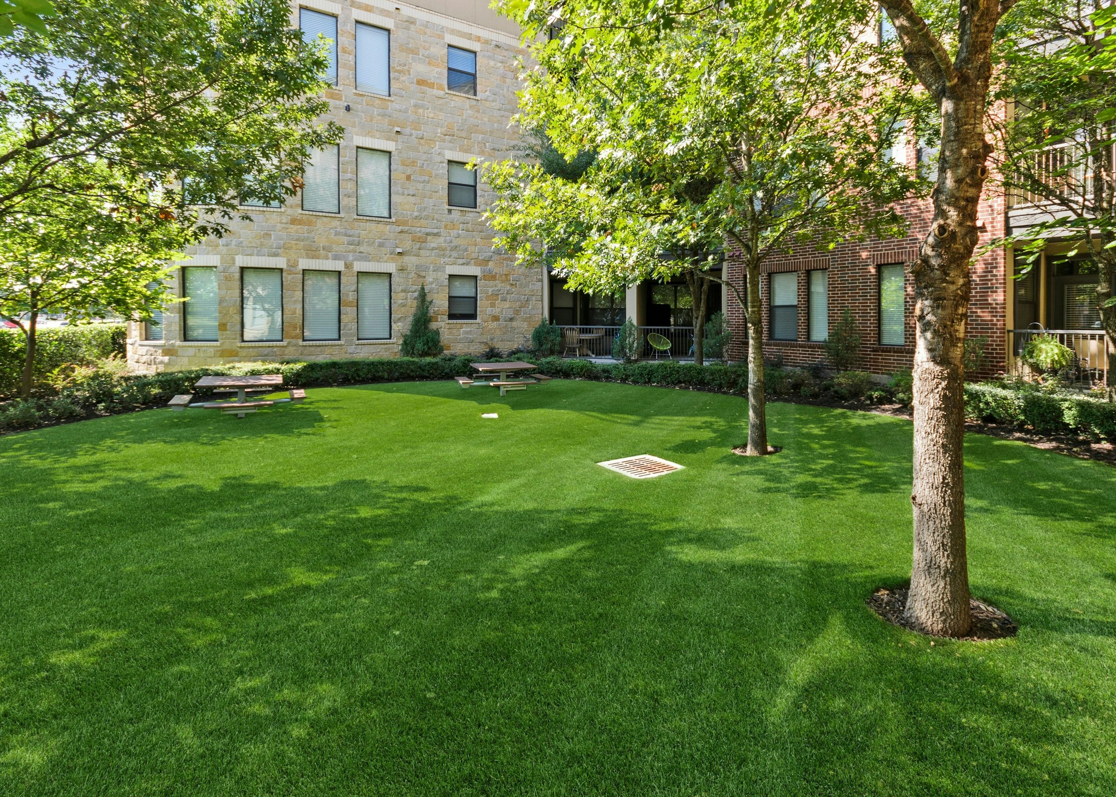 Resident courtyard at AMLI West Plano apartments with tall broadleaf trees and picnic seating surrounded by green grass