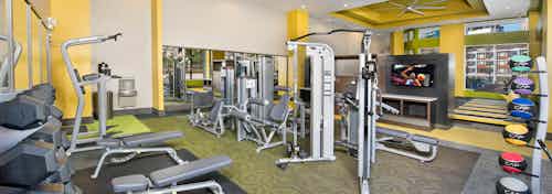 Interior of spacious AMLI Buckhead fitness center with a variety of weight machines with yellow walls and grey flooring