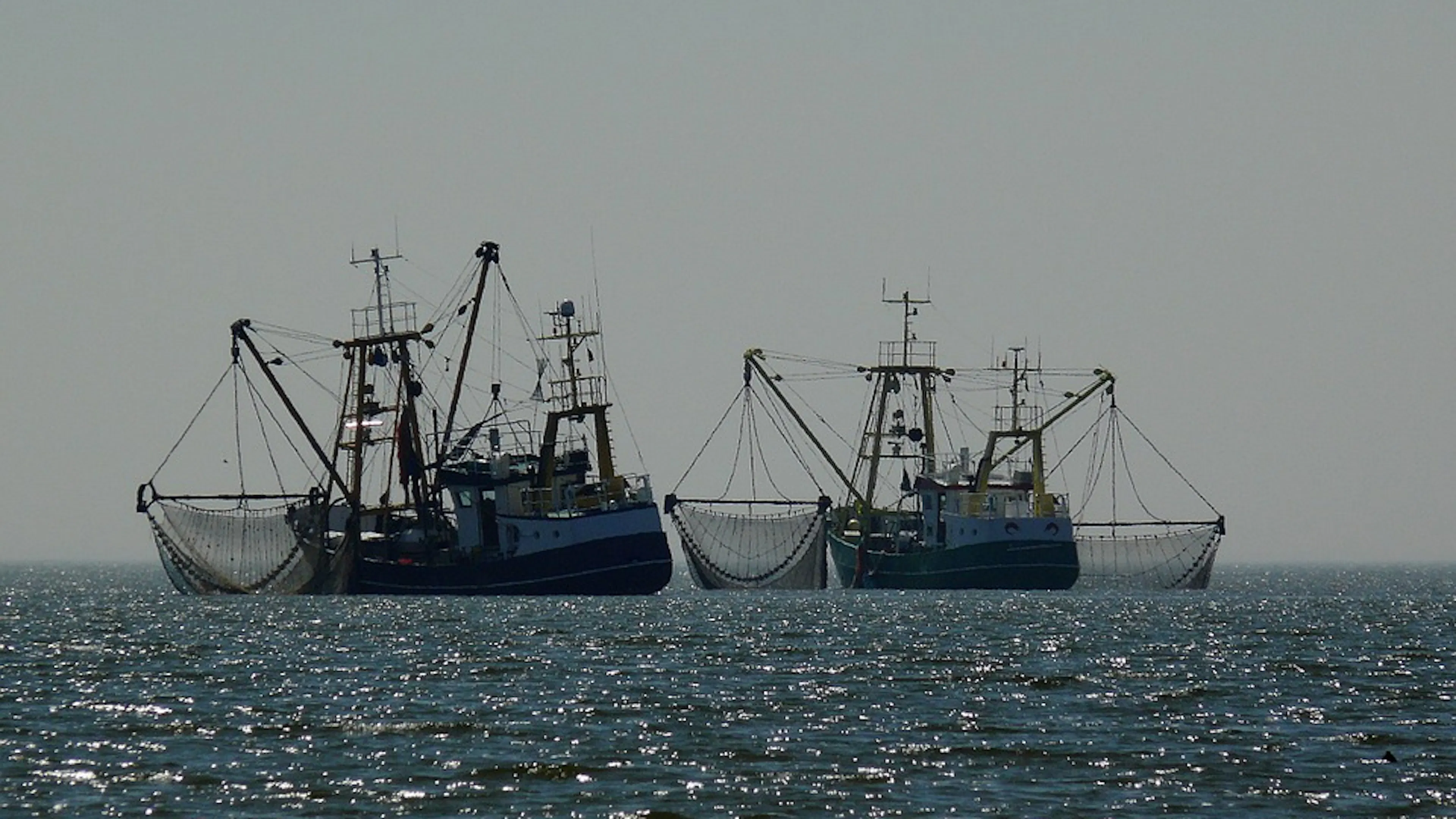 Two fishing boats with large nets hanging off the sides on a calm ocean 