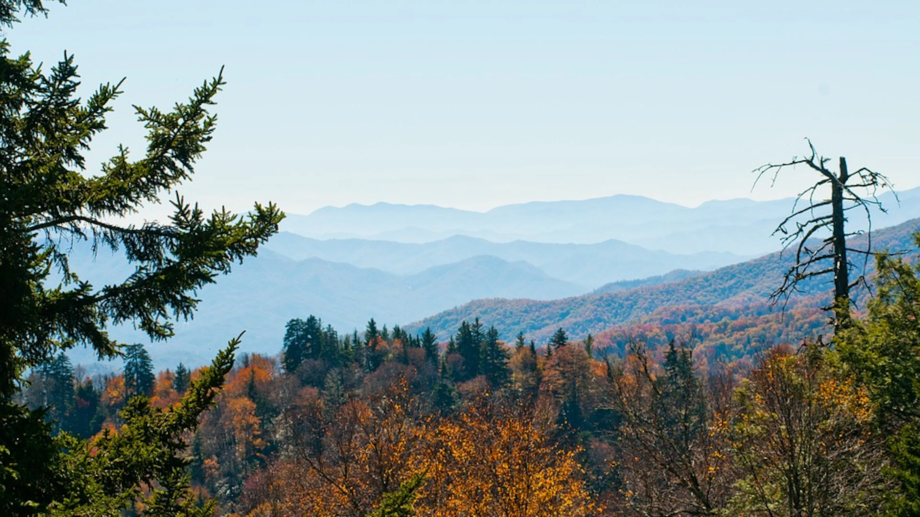 Grand panorama of mountains disappearing into the distance, covered in hazy fog and orange fall colors