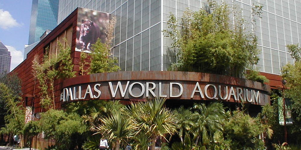 What to See at the Dallas World Aquarium - 9e290c0bc9ba3395Dbcb7e8Da707697f09a16e6e Dallas WorlD Aquarium Entrance