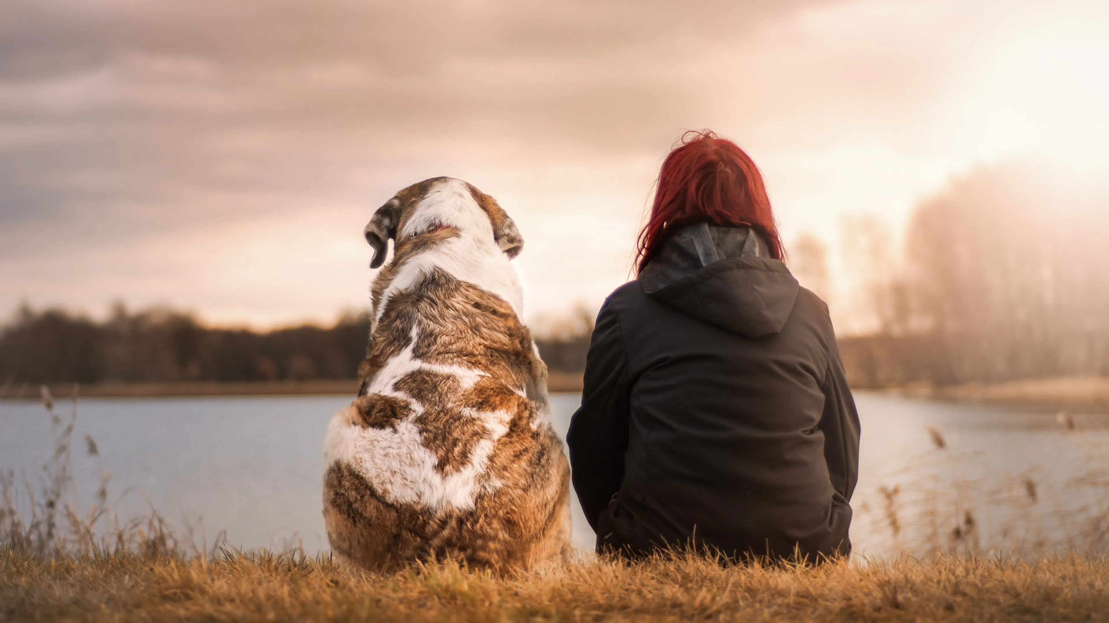 brown and white dog seated next to woman with red hair and black coat looking out over lake