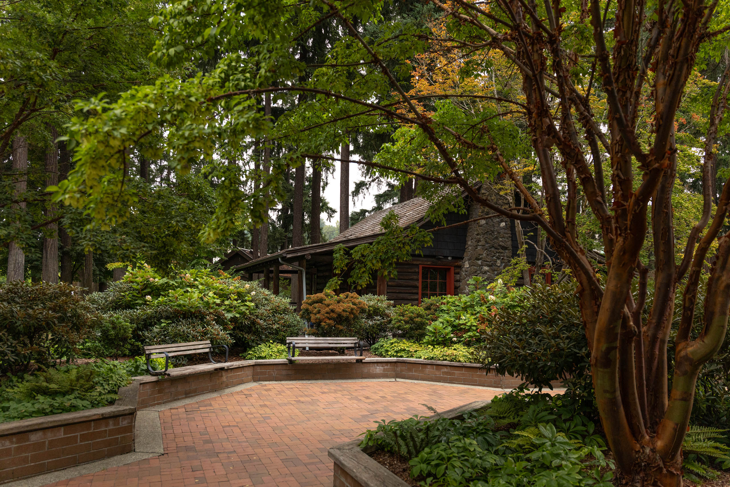 Anderson Park near AMLI Redmond Way, featuring a brick-paved seating area with benches, lush landscaping, and a log cabin nestled among tall trees.