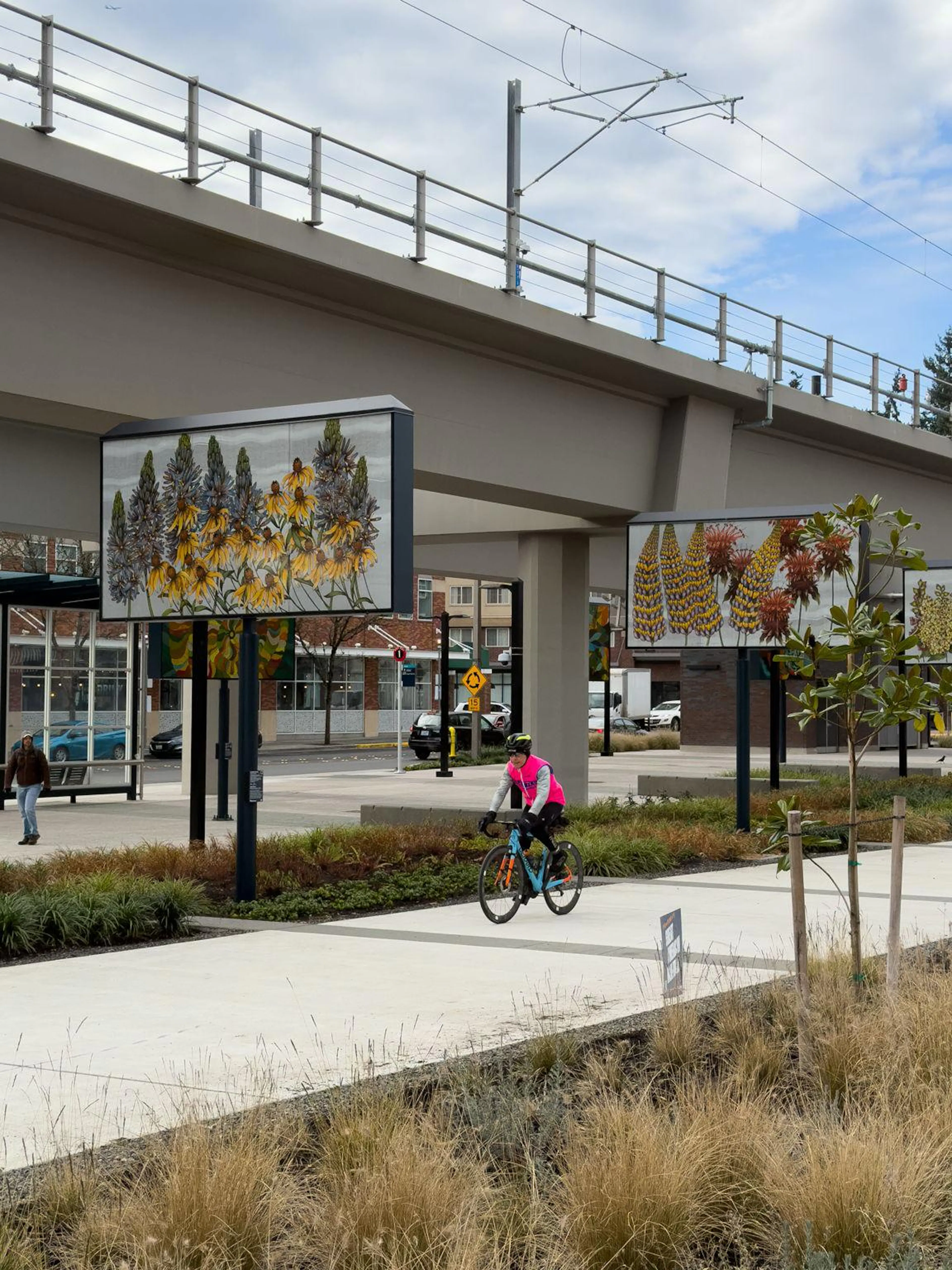 A cyclist on a bike path next to some landscaped wild grasses and the raised railway of the Sound Transit light rail
