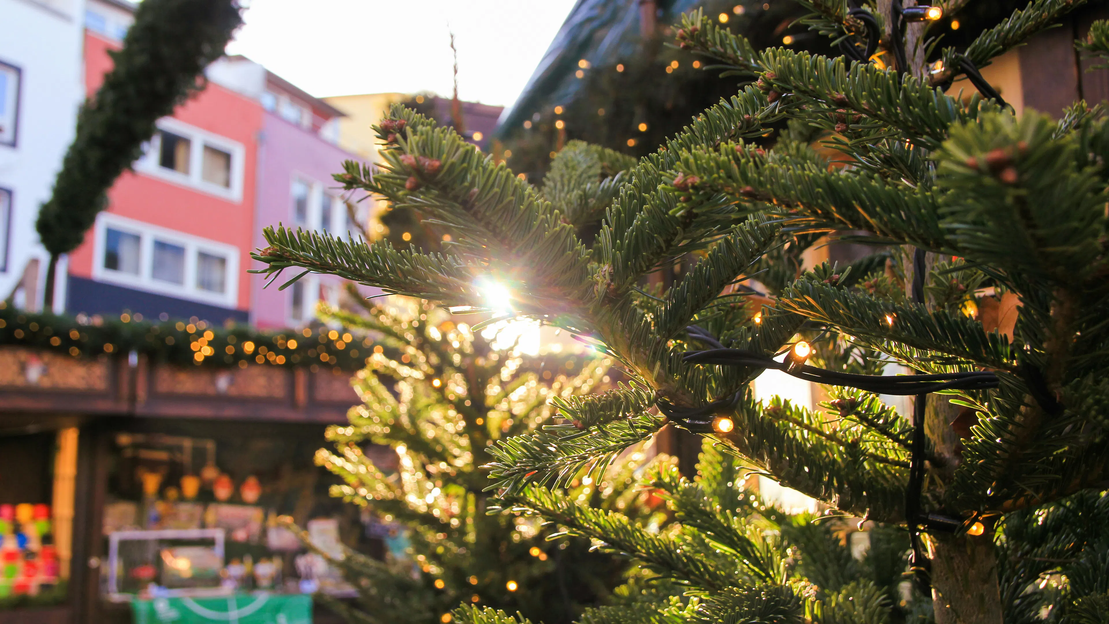 A Christmas tree in a busy outdoor square lit up with small lights