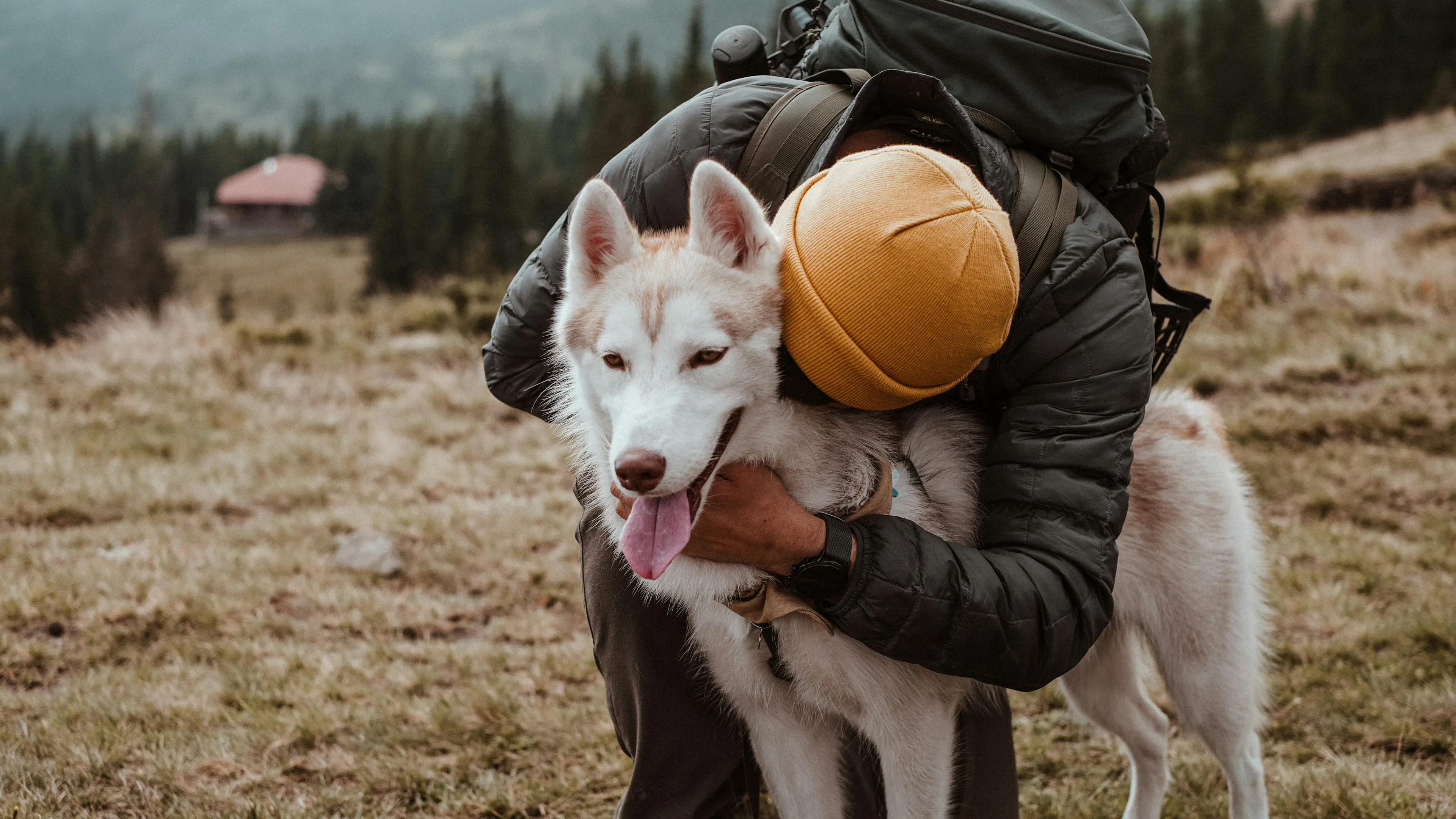A man in a puffy jacket hugging his husky dog outside on a grassy mountain
