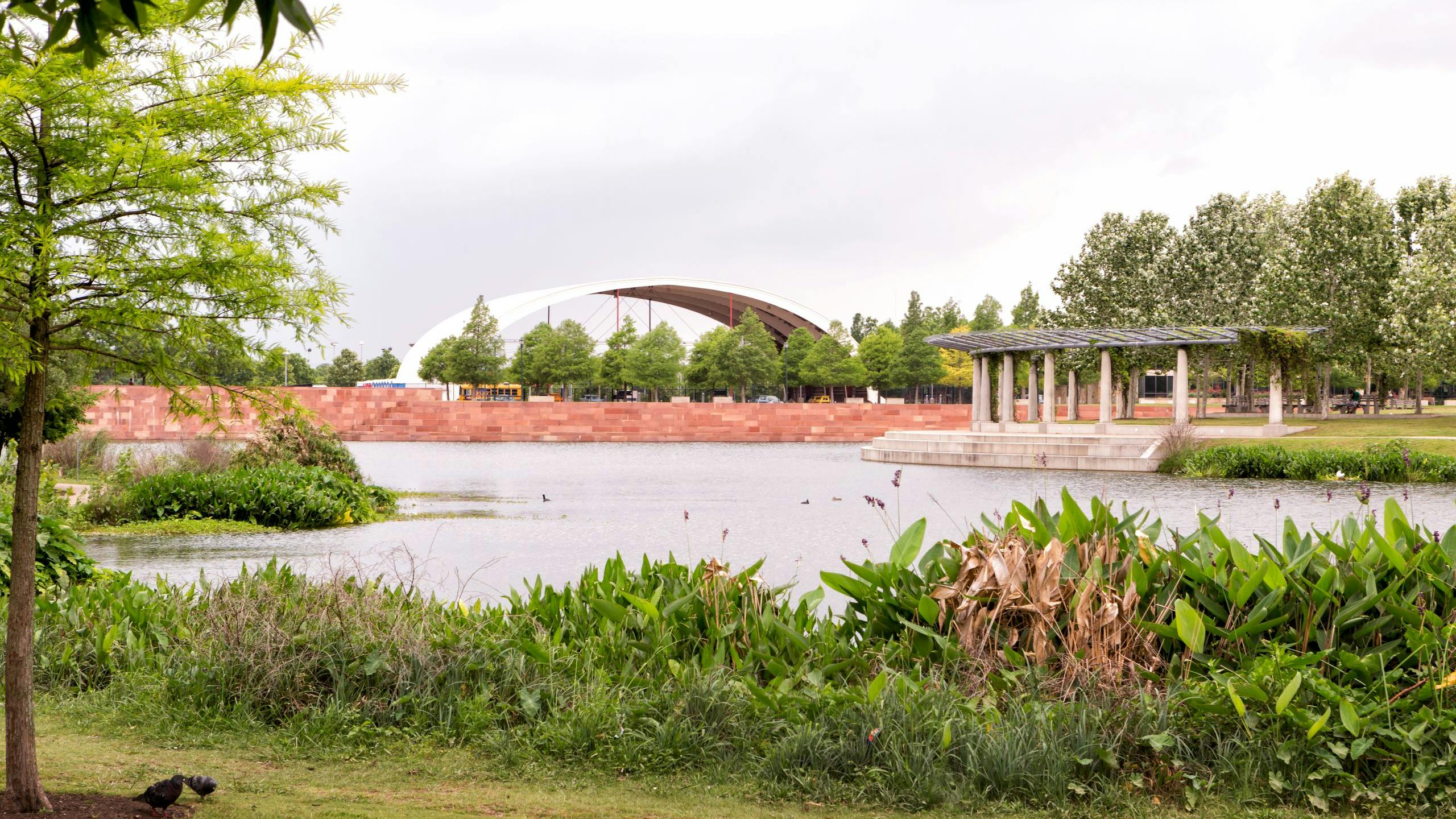 Scenic lake and pergola surrounded by grass and lush greenery in the Mueller mixed use development