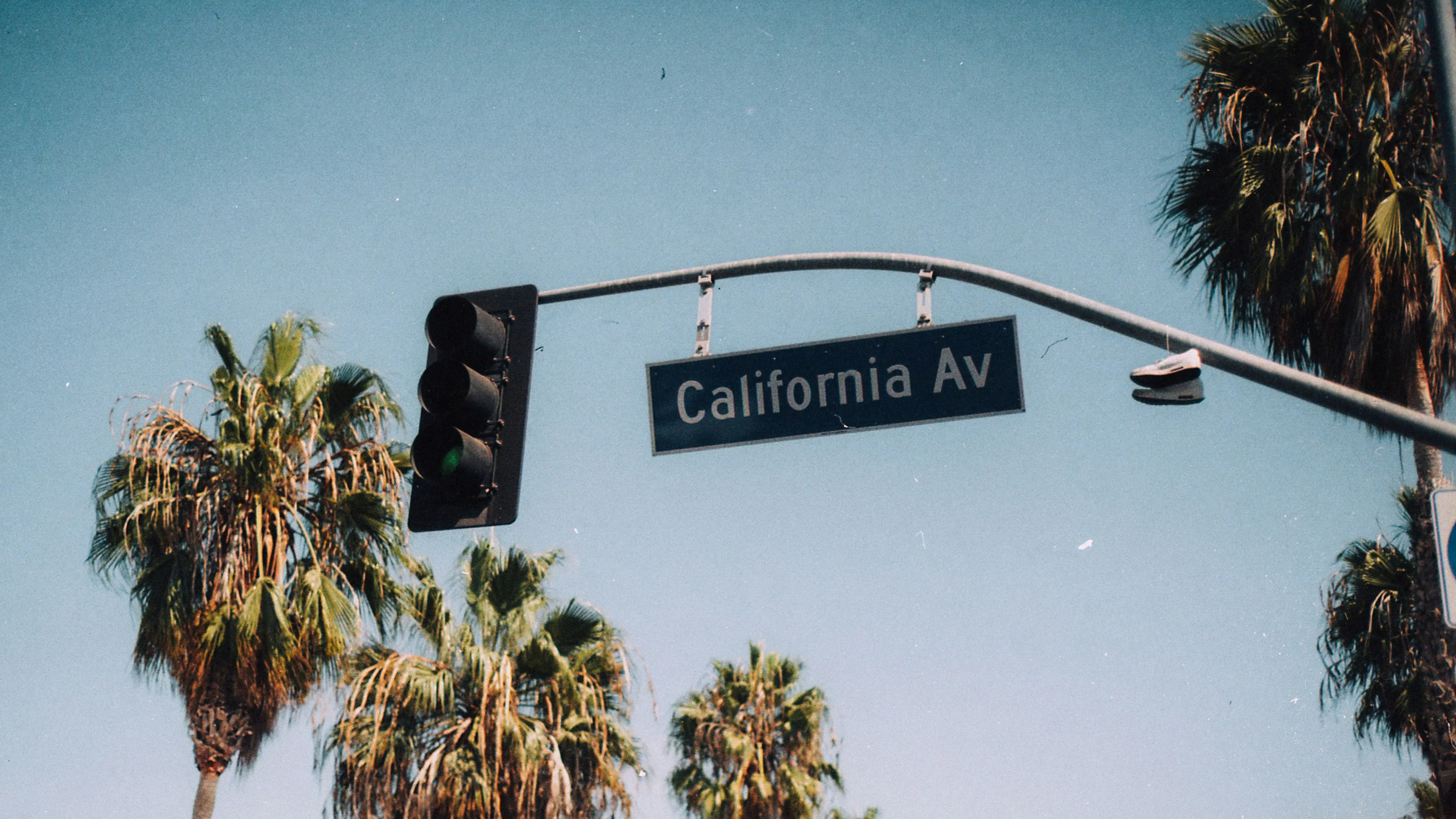 A street sign on a traffic light saying California Avenue with palm trees in the background