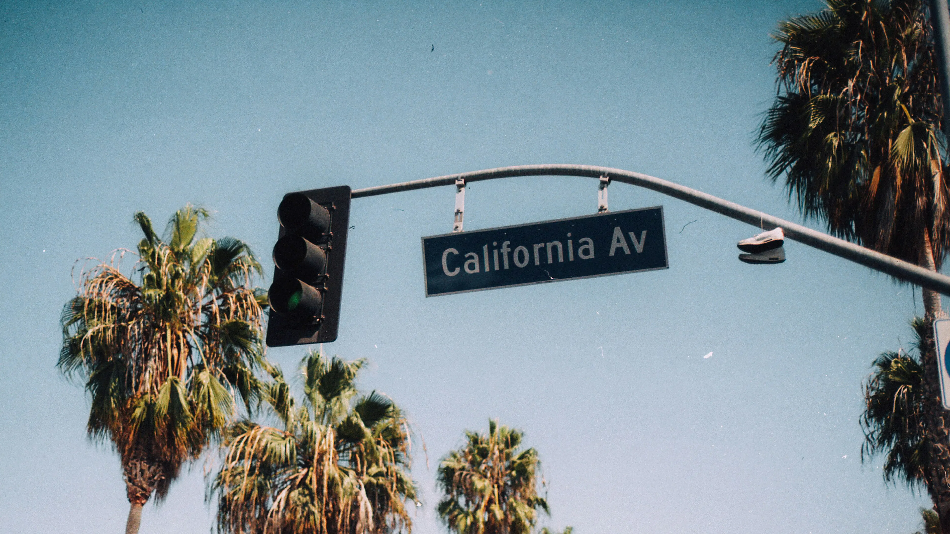 A street sign on a traffic light saying California Avenue with palm trees in the background