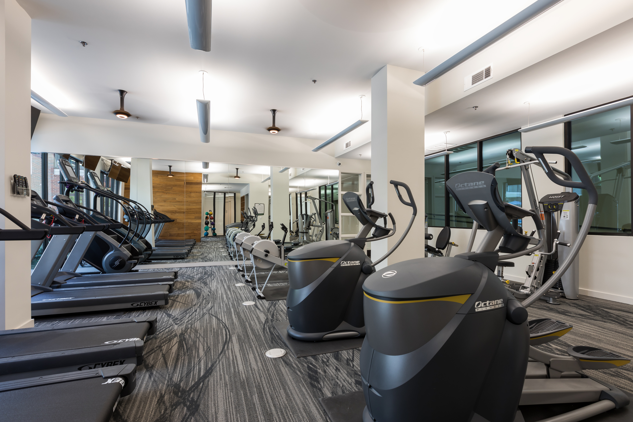 Fitness center at AMLI Frisco Crossing with treadmills, other cardio machines, gray patterned carpet and white pillars
