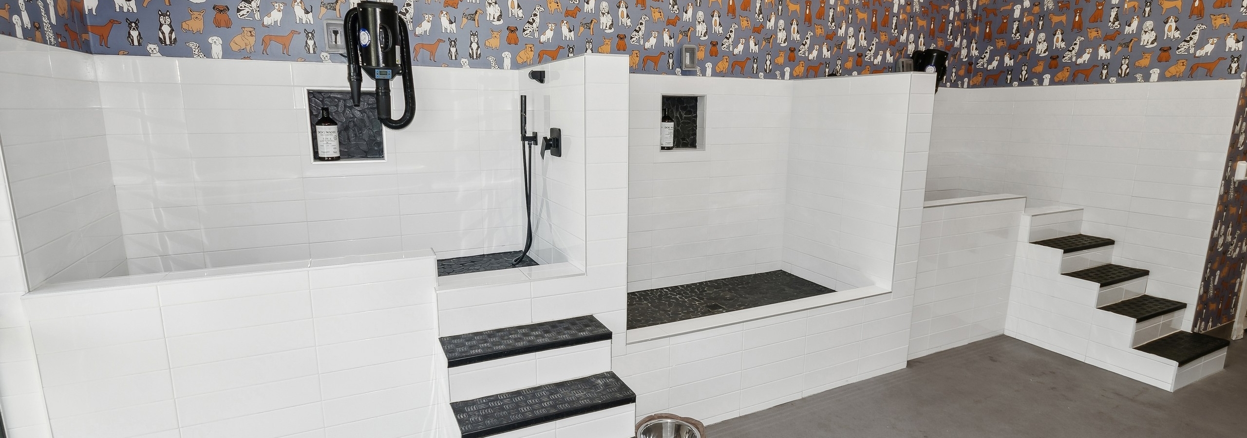 Pet wash at AMLI Addison apartments with dog themed wallpaper and three large white porcelain pet washing stalls with dryers