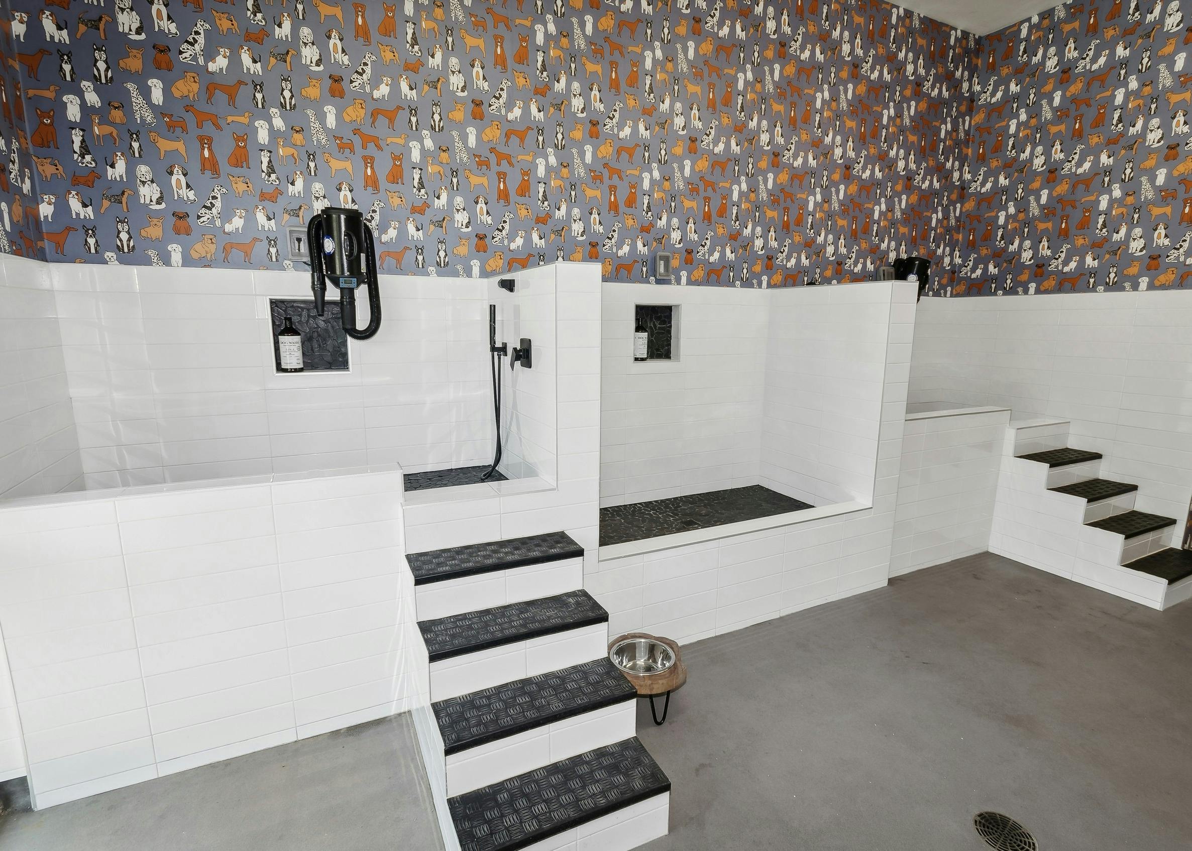 Pet wash at AMLI Addison apartments with dog themed wallpaper and three large white porcelain pet washing stalls with dryers