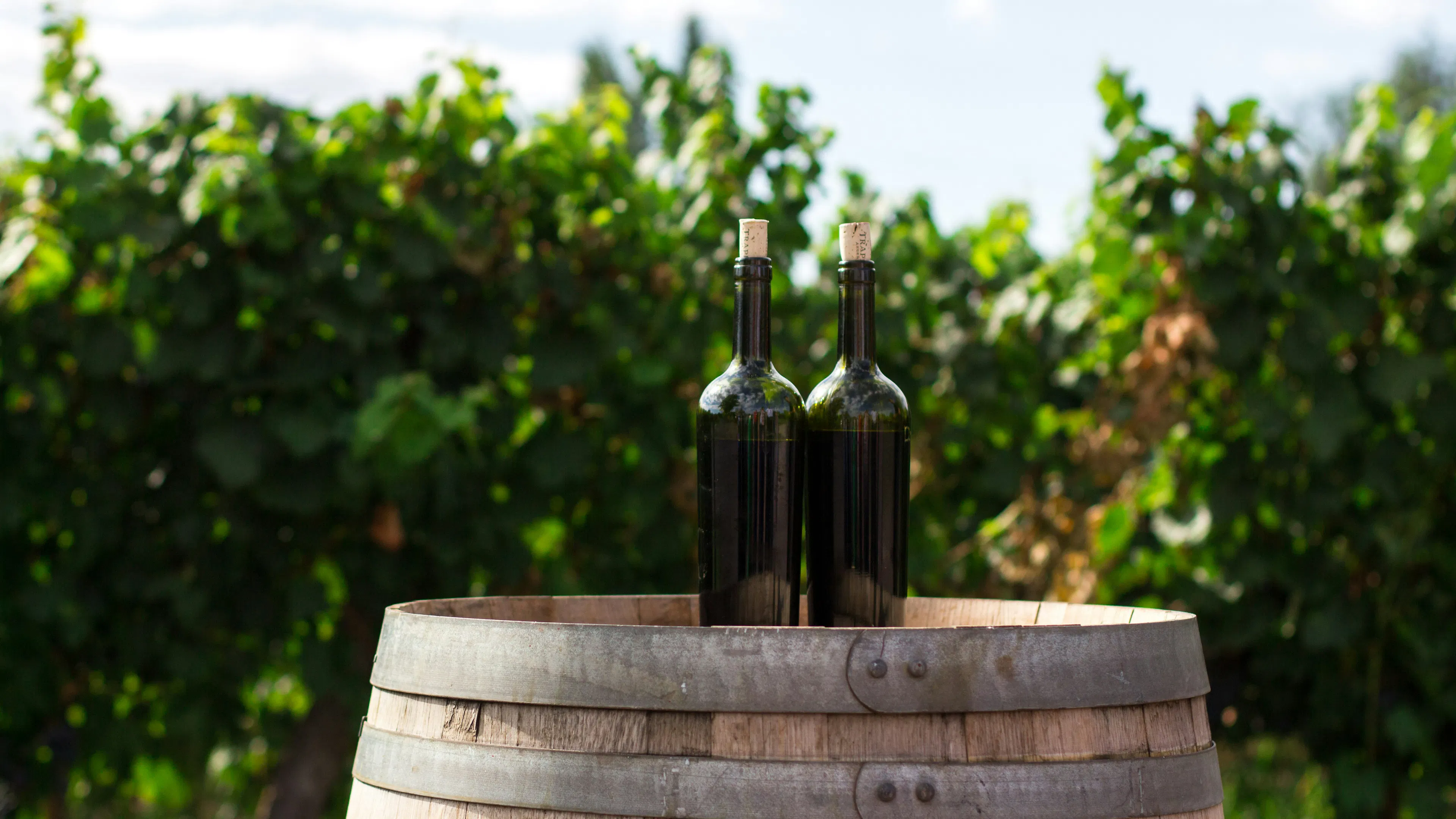 Two bottles of red wine on a wine barrel with vineyards in the background