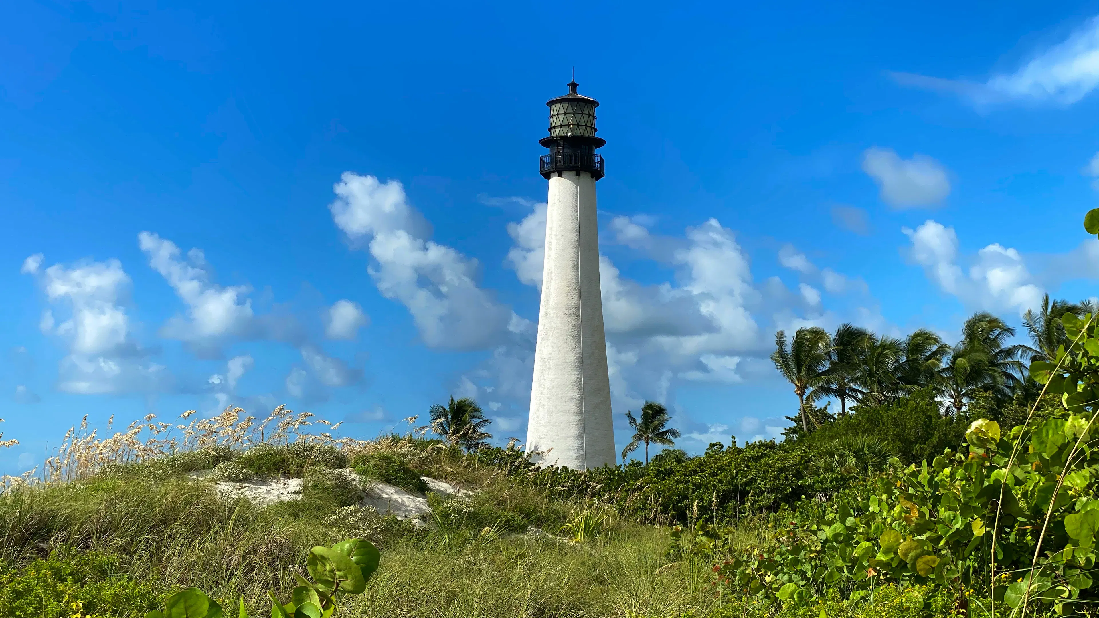 The white and black exterior of the Cape Florida lighthouse on a green hill on the beach