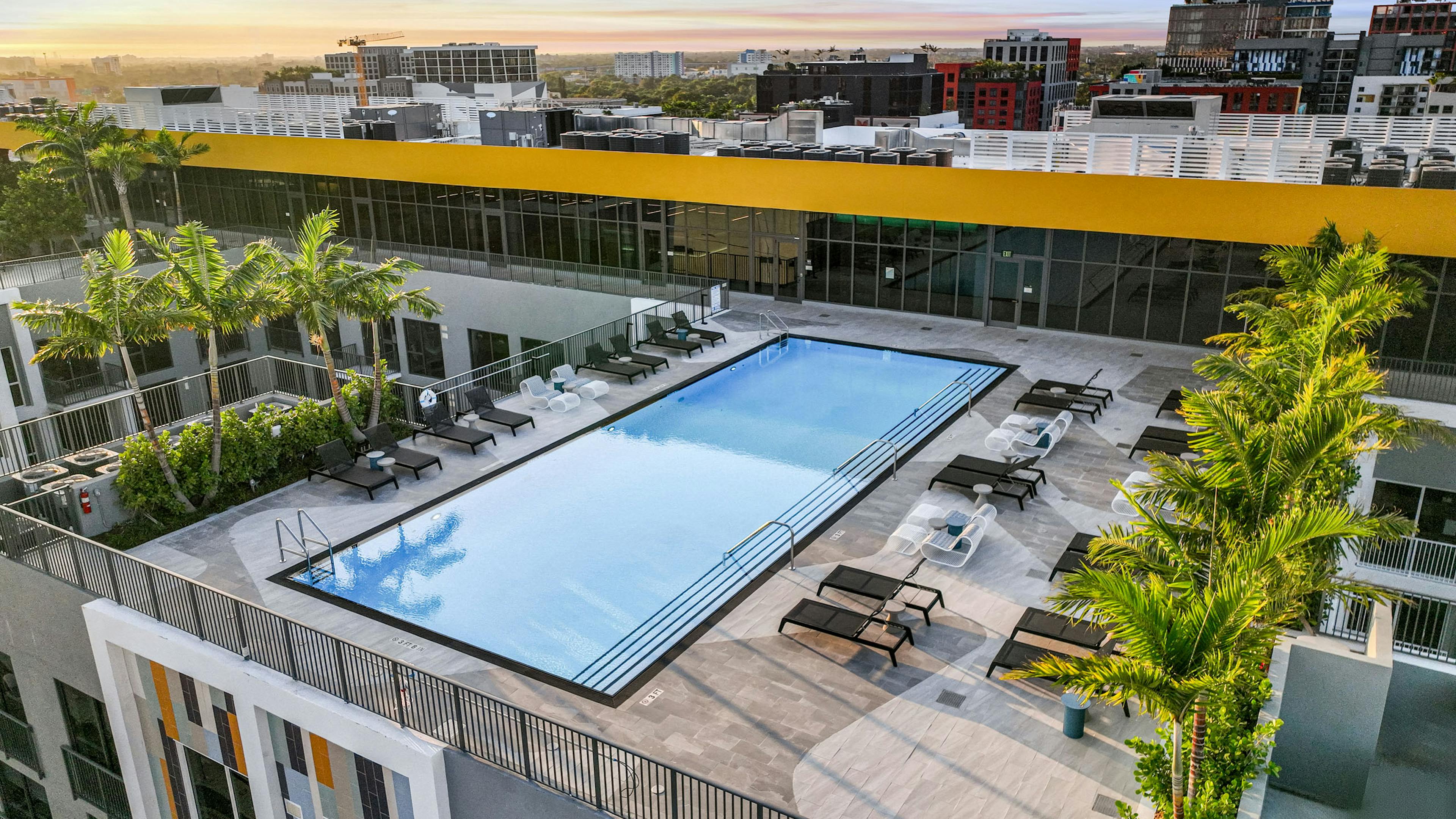 Aerial daytime view of a rooftop swimming pool at AMLI Wynwood apartments showing black and white lounge furniture surrounded by palm trees