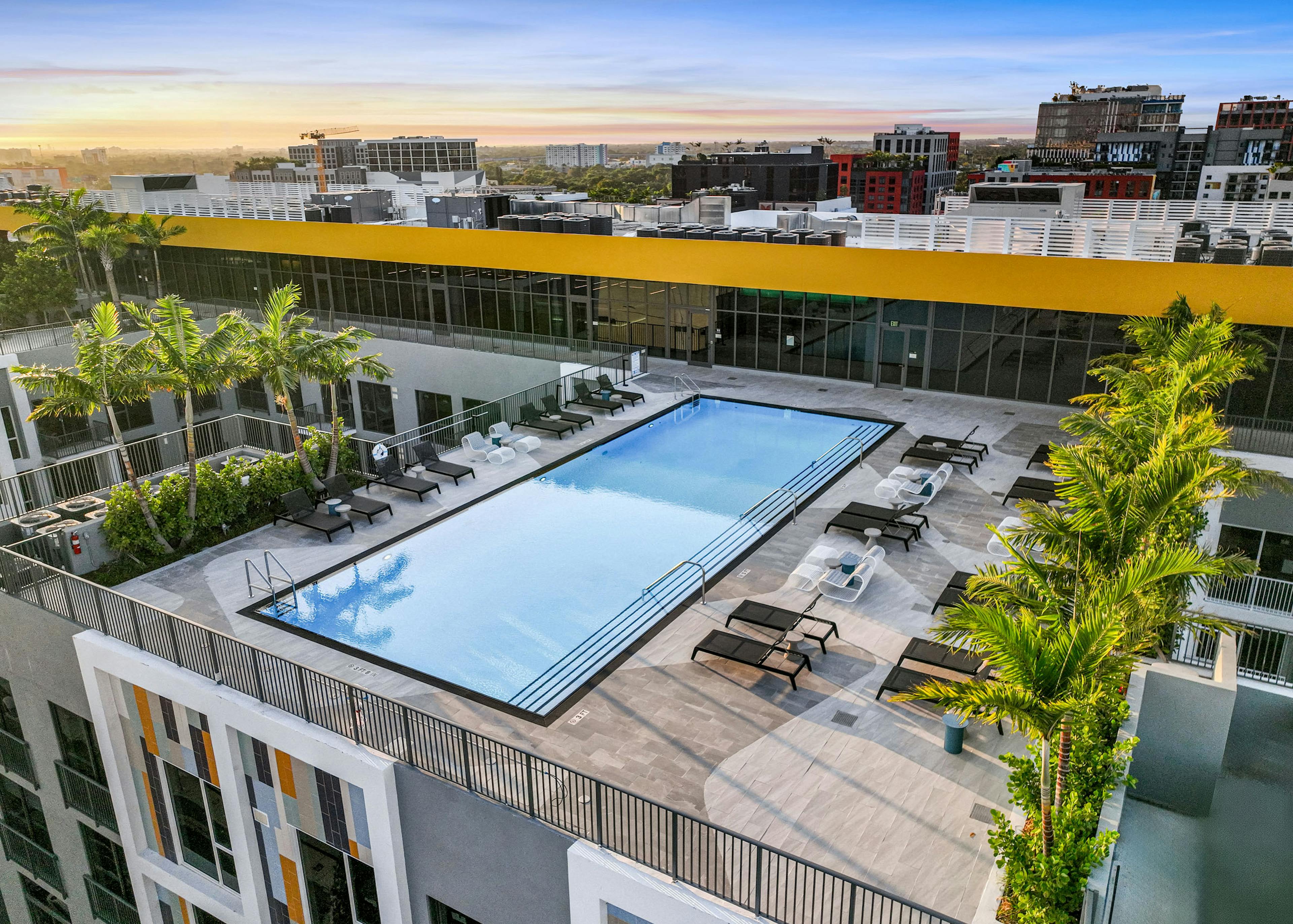 Aerial daytime view of a rooftop swimming pool at AMLI Wynwood apartments showing black and white lounge furniture surrounded by palm trees