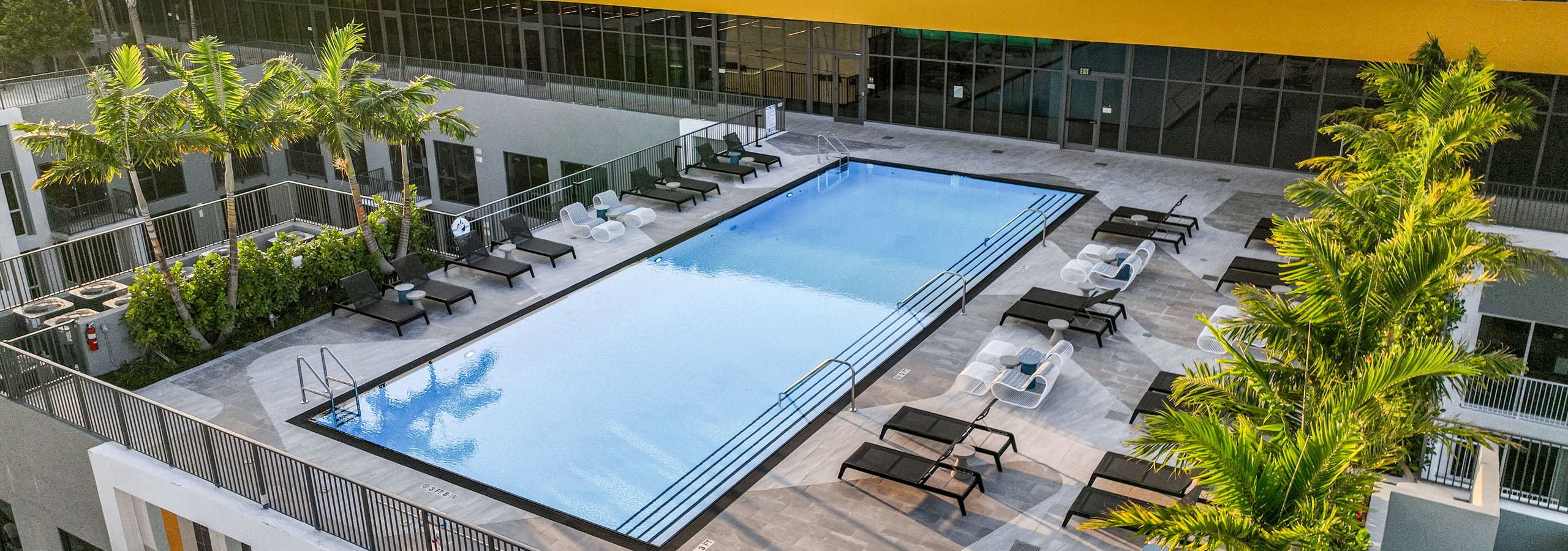Aerial daytime view of a rooftop swimming pool at AMLI Wynwood apartments showing black and white lounge furniture surrounded by palm trees