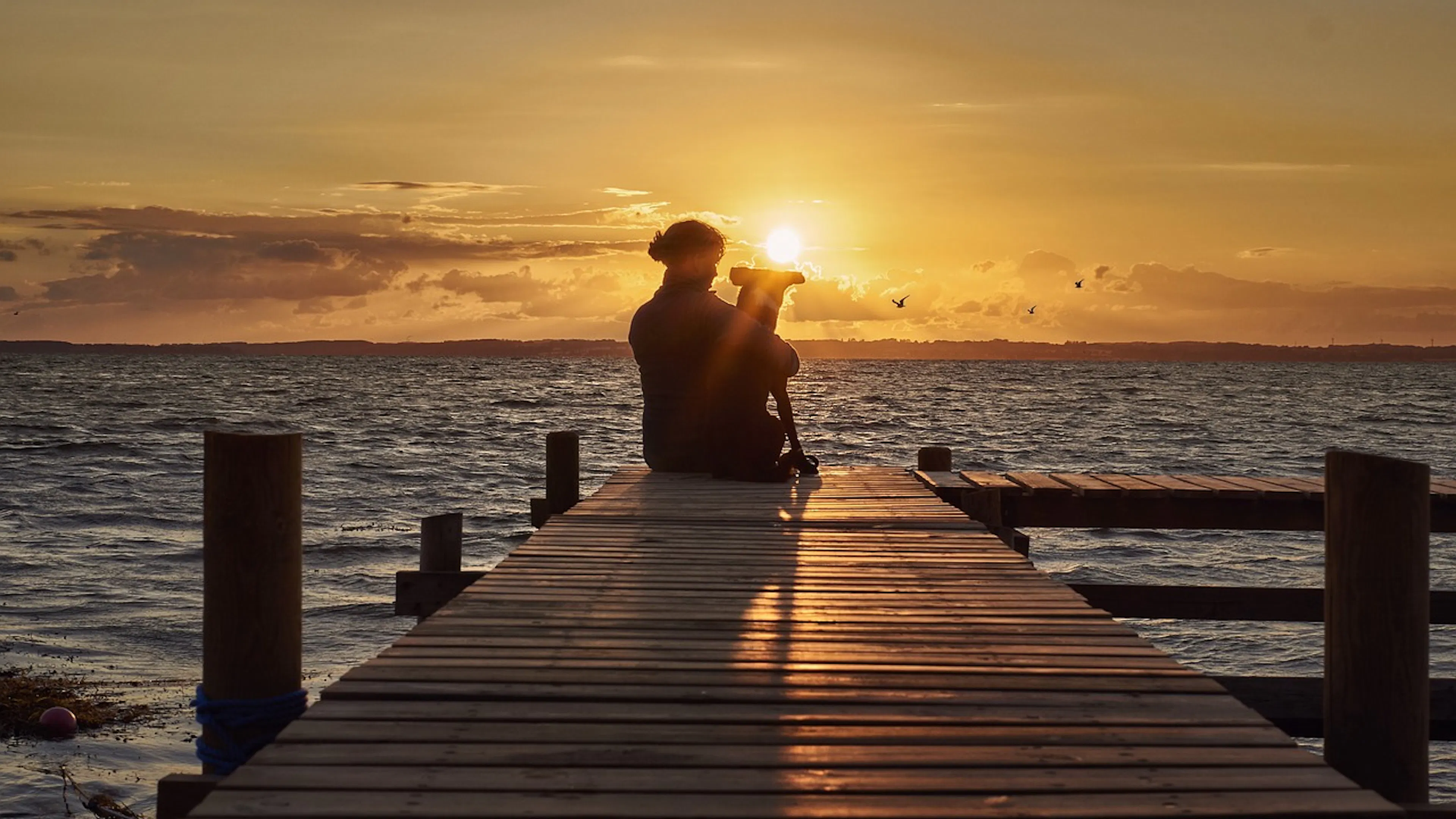 wood pier with ocean and sunset and woman with dog
