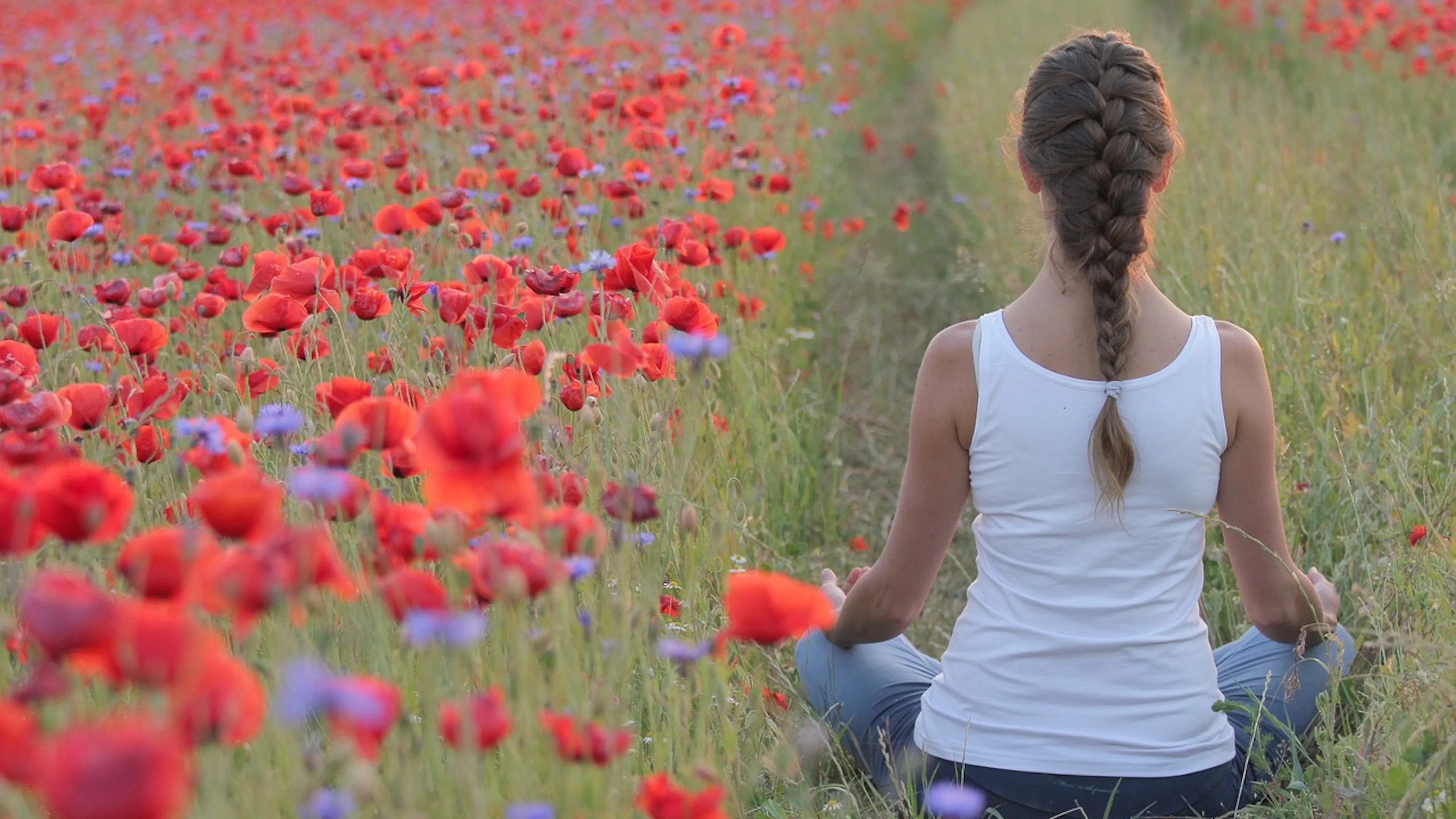 red poppies in field with woman seated in cross legged position in white tank top and french braid