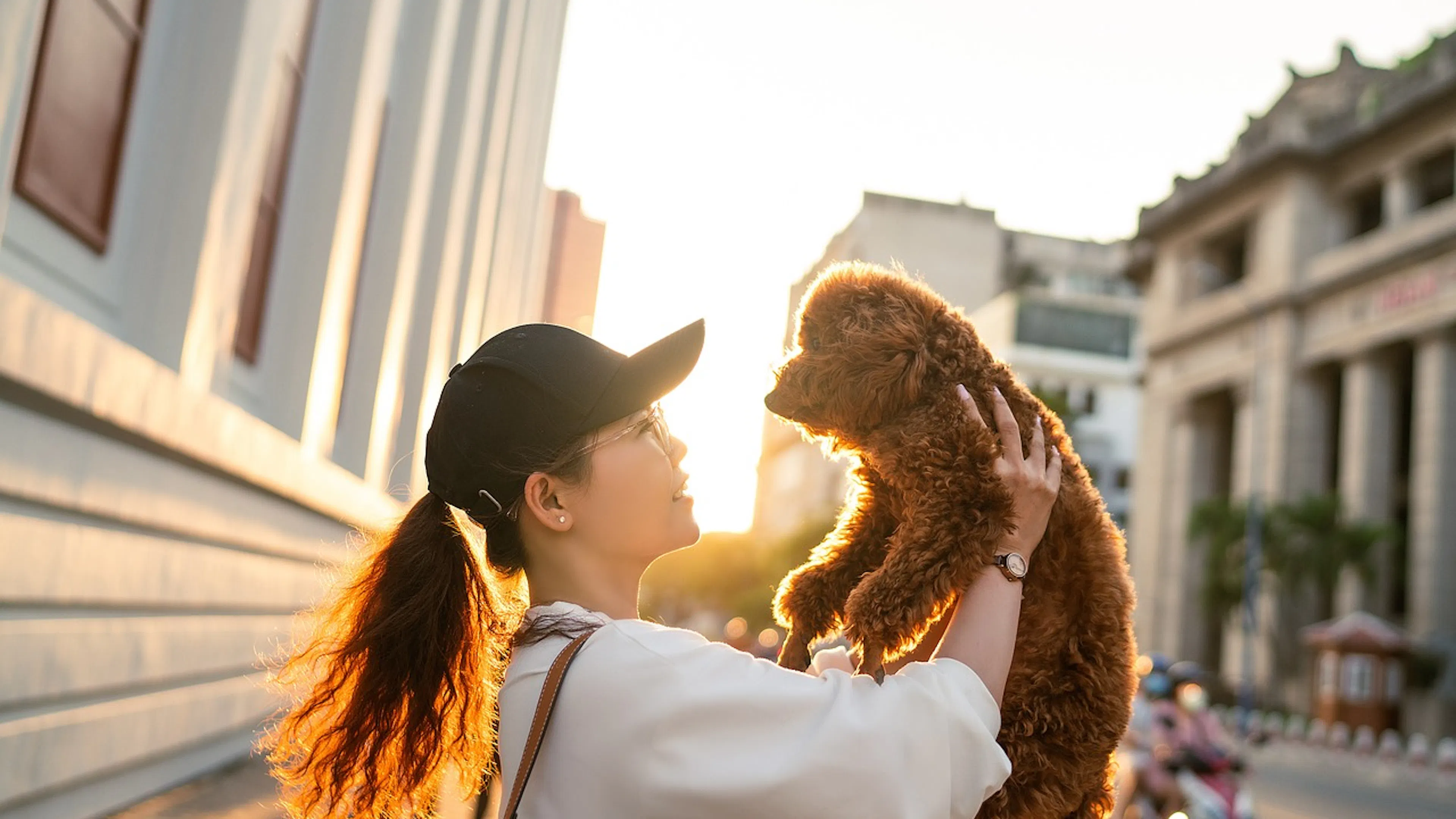 woman with hat and pony tail holding up small brown dog in the city