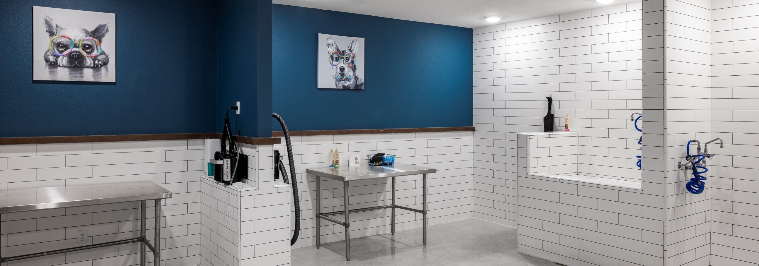 AMLI Lakeline pet spa with white tiled dog shower and blow dry area with metal tables and blue walls with dog artwork