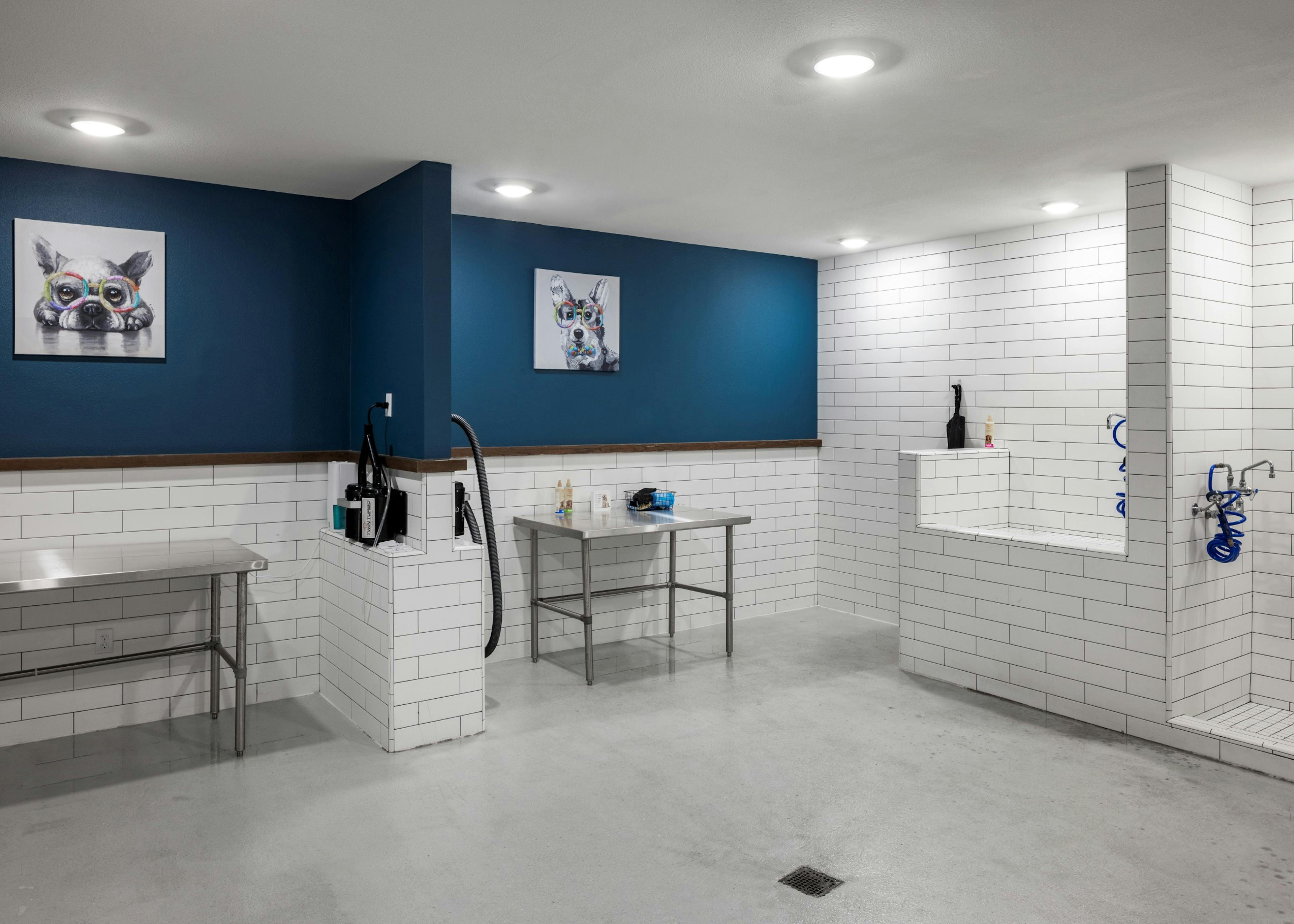 AMLI Lakeline pet spa with white tiled dog shower and blow dry area with metal tables and blue walls with dog artwork