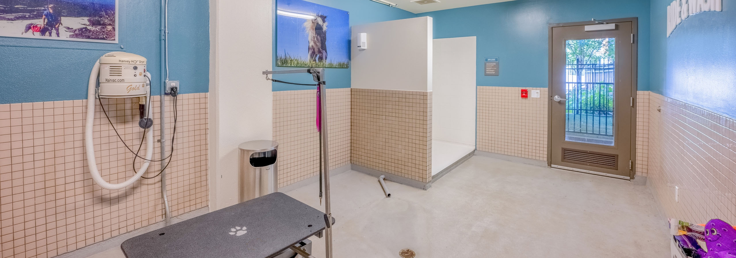 A brightly lit pet grooming room with a grooming table, bathing station, and pet hair dryer at paw wash at AMLI Mark24 apartments