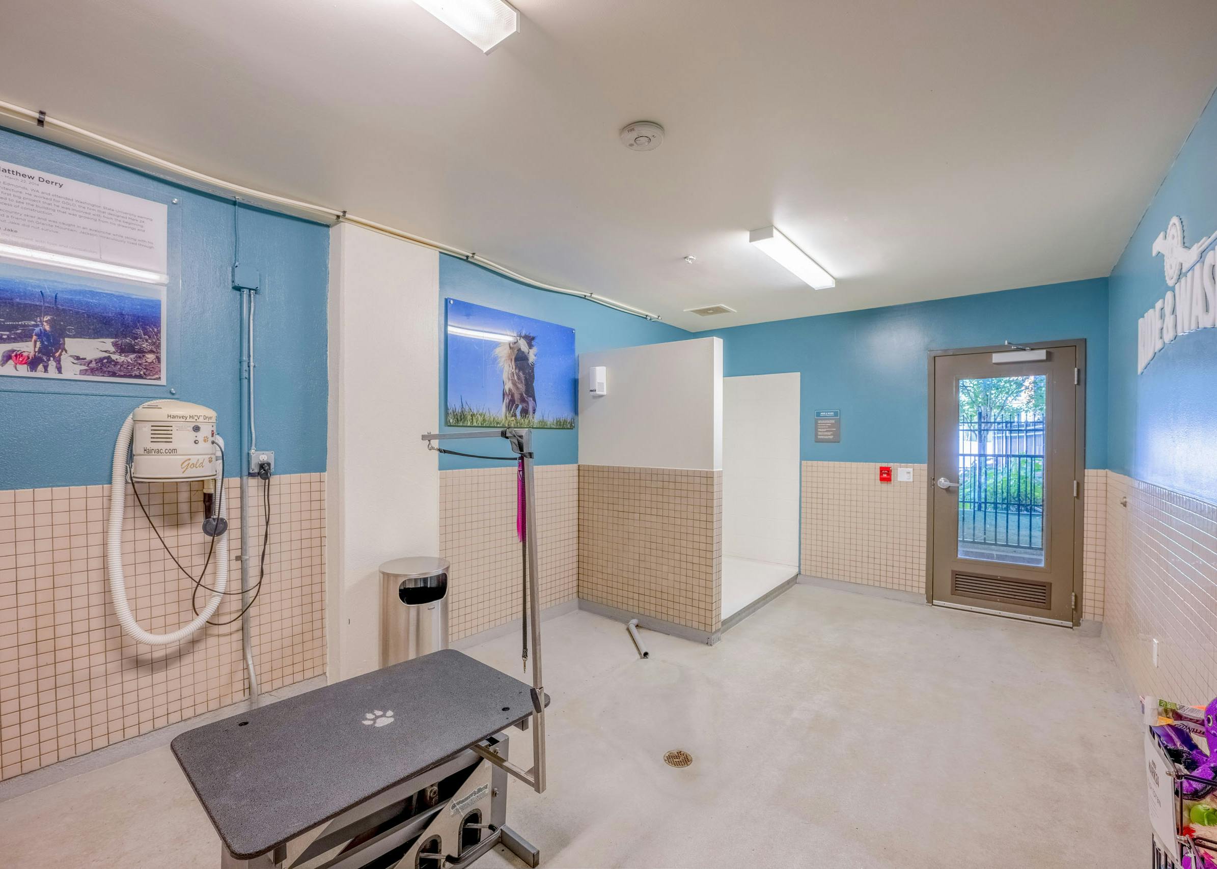 A brightly lit pet grooming room with a grooming table, bathing station, and pet hair dryer at paw wash at AMLI Mark24 apartments