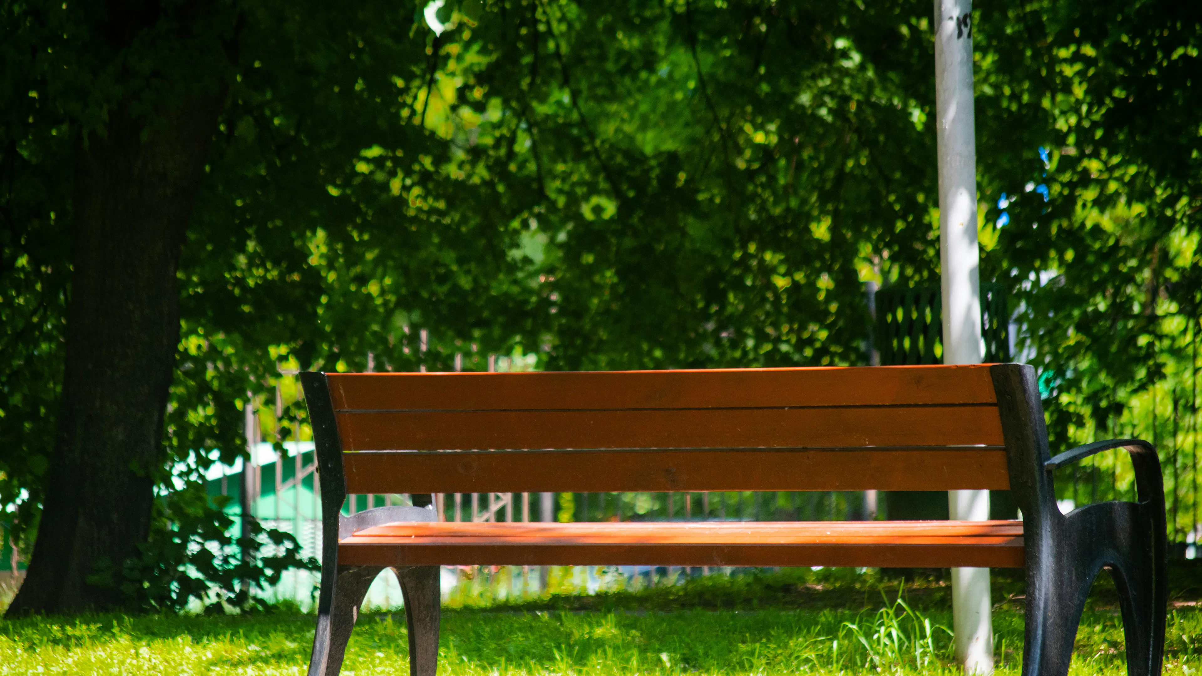 A simple wooden park bench underneath the shade of a tree 