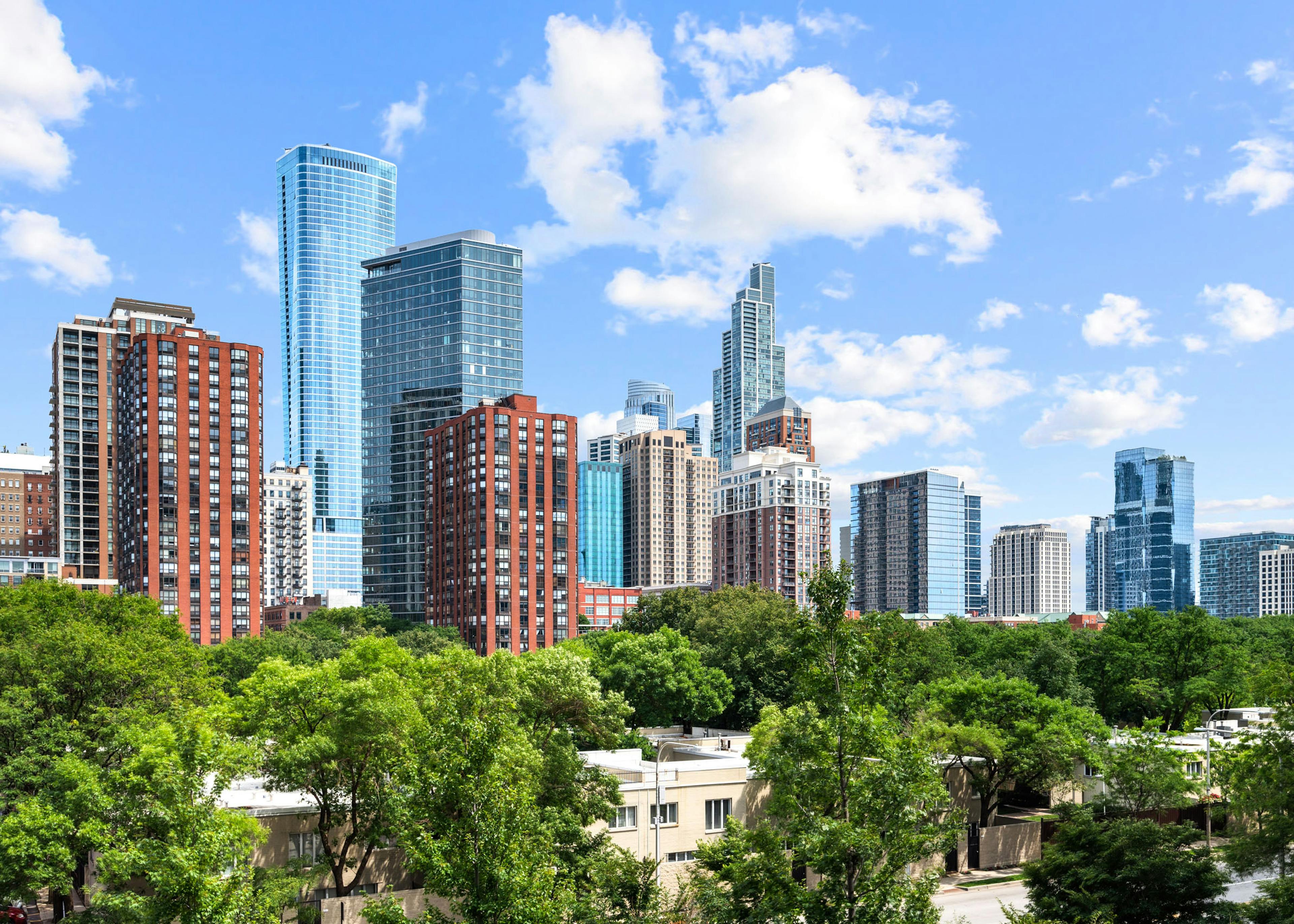 AMLI Lofts view of tree lined street in front of Chicago skyline with fluffy white clouds dotting the blue sky.