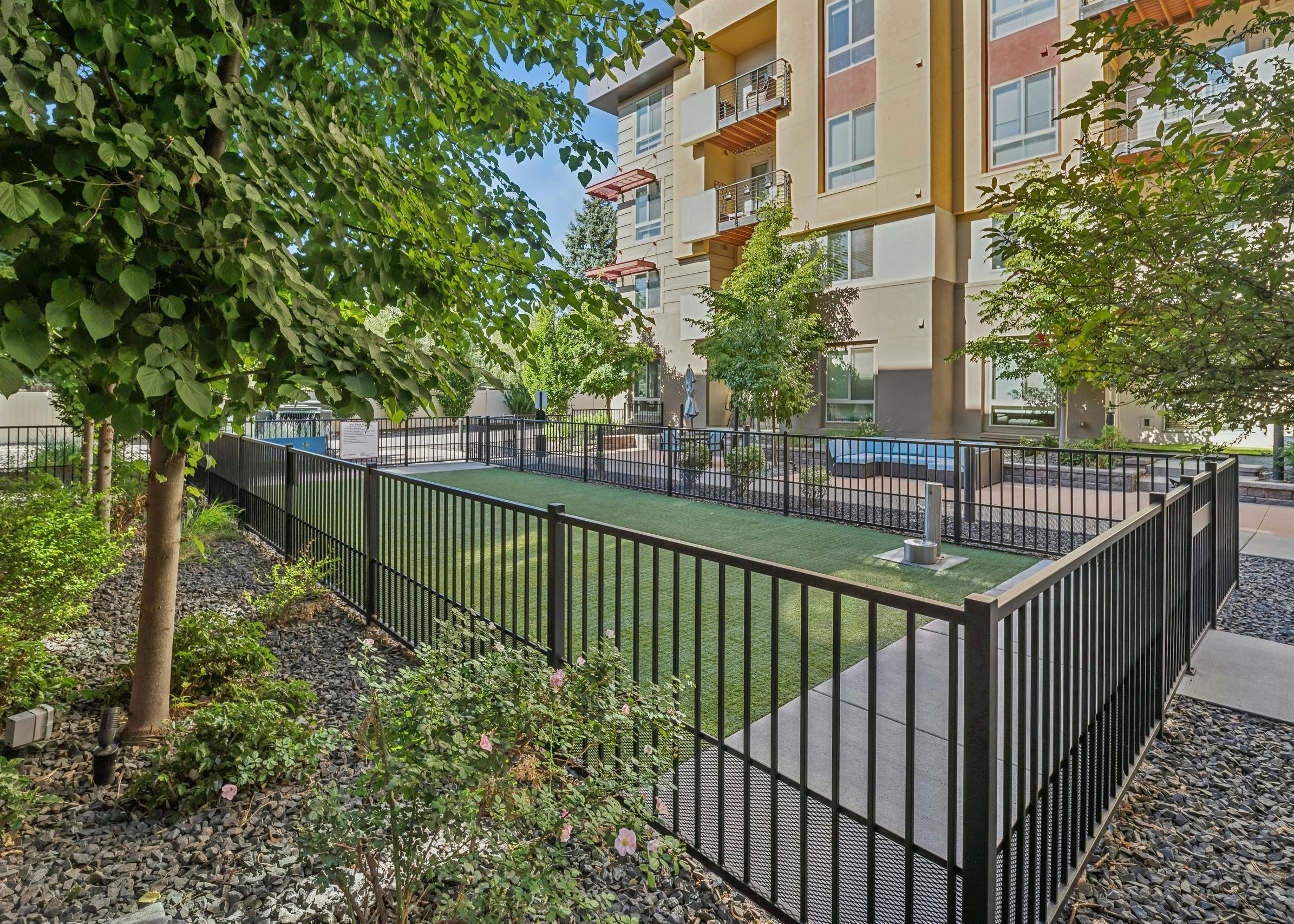 The dog park at AMLI Cherry Creek apartments with a large grassy area enclosed by a black metal fence with bushes and trees
