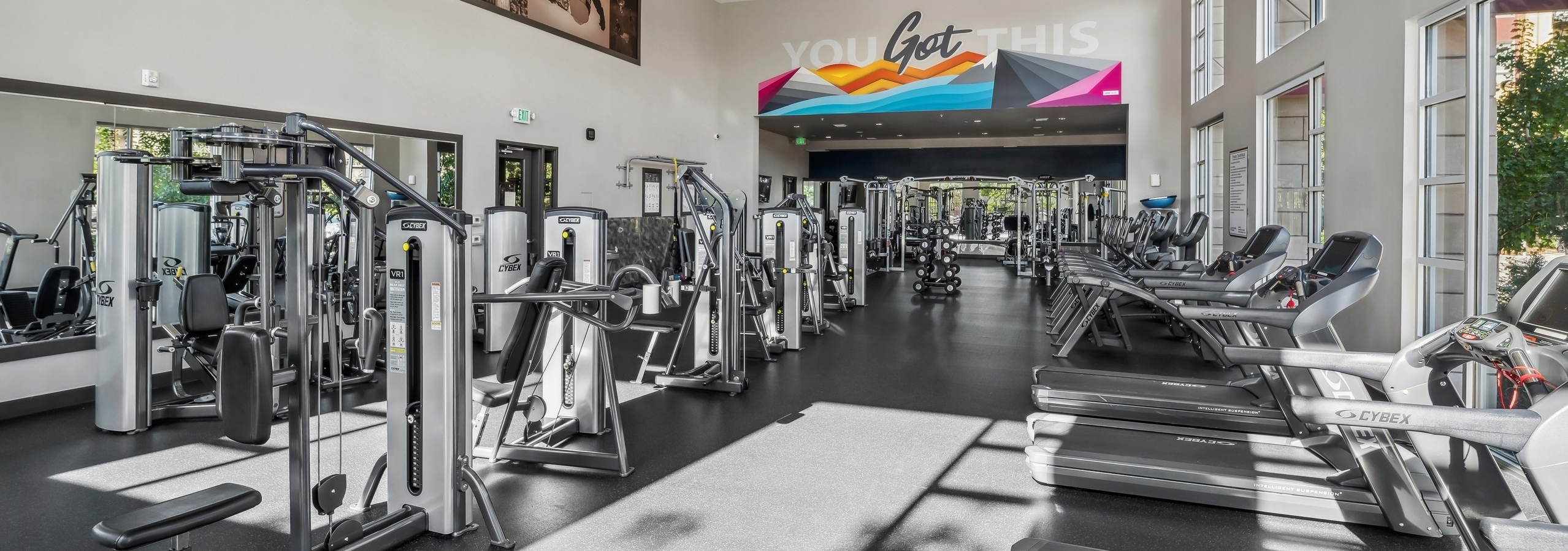AMLI Cherry Creek fitness center with weight machines, treadmills, a colorful mural and floor to ceiling windows