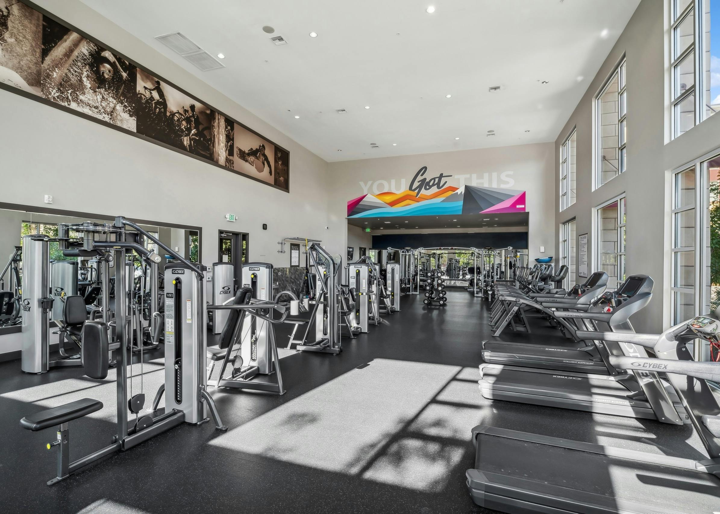 AMLI Cherry Creek fitness center with weight machines, treadmills, a colorful mural and floor to ceiling windows