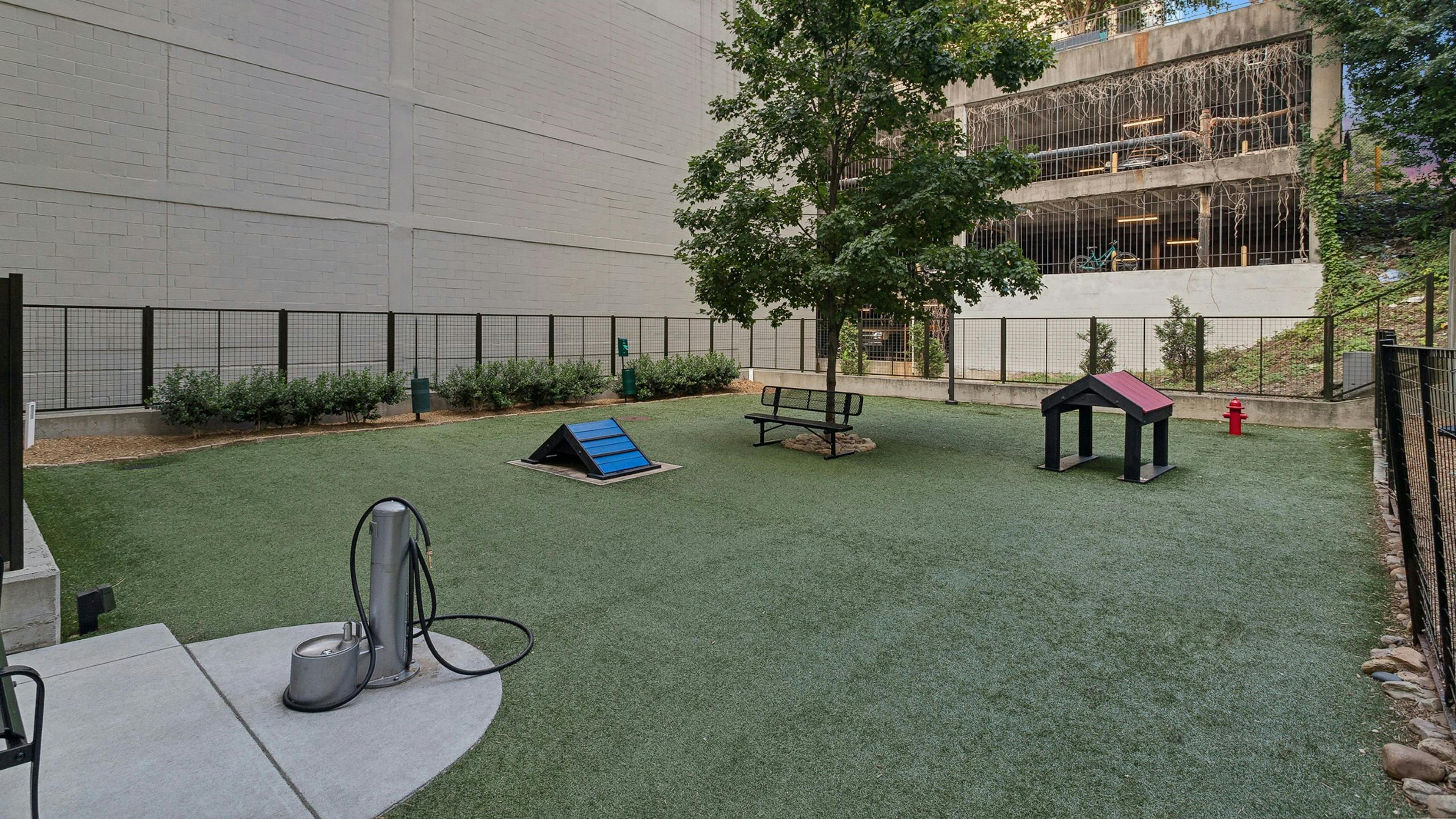 View of an outdoor dog park at AMLI Arts Center with artificial grass and agility equipment including a ramp, bench, small house and tree