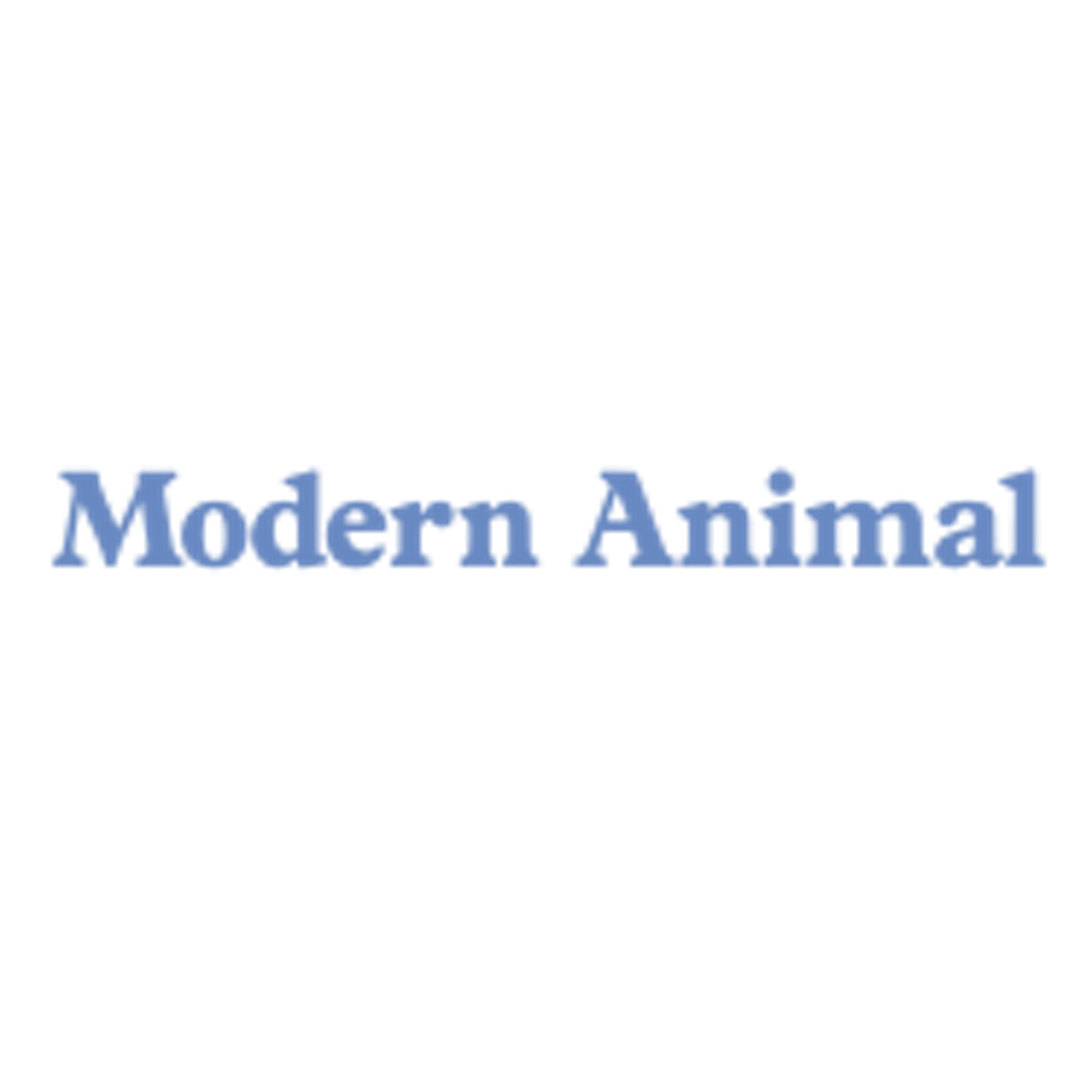 Modern Animal