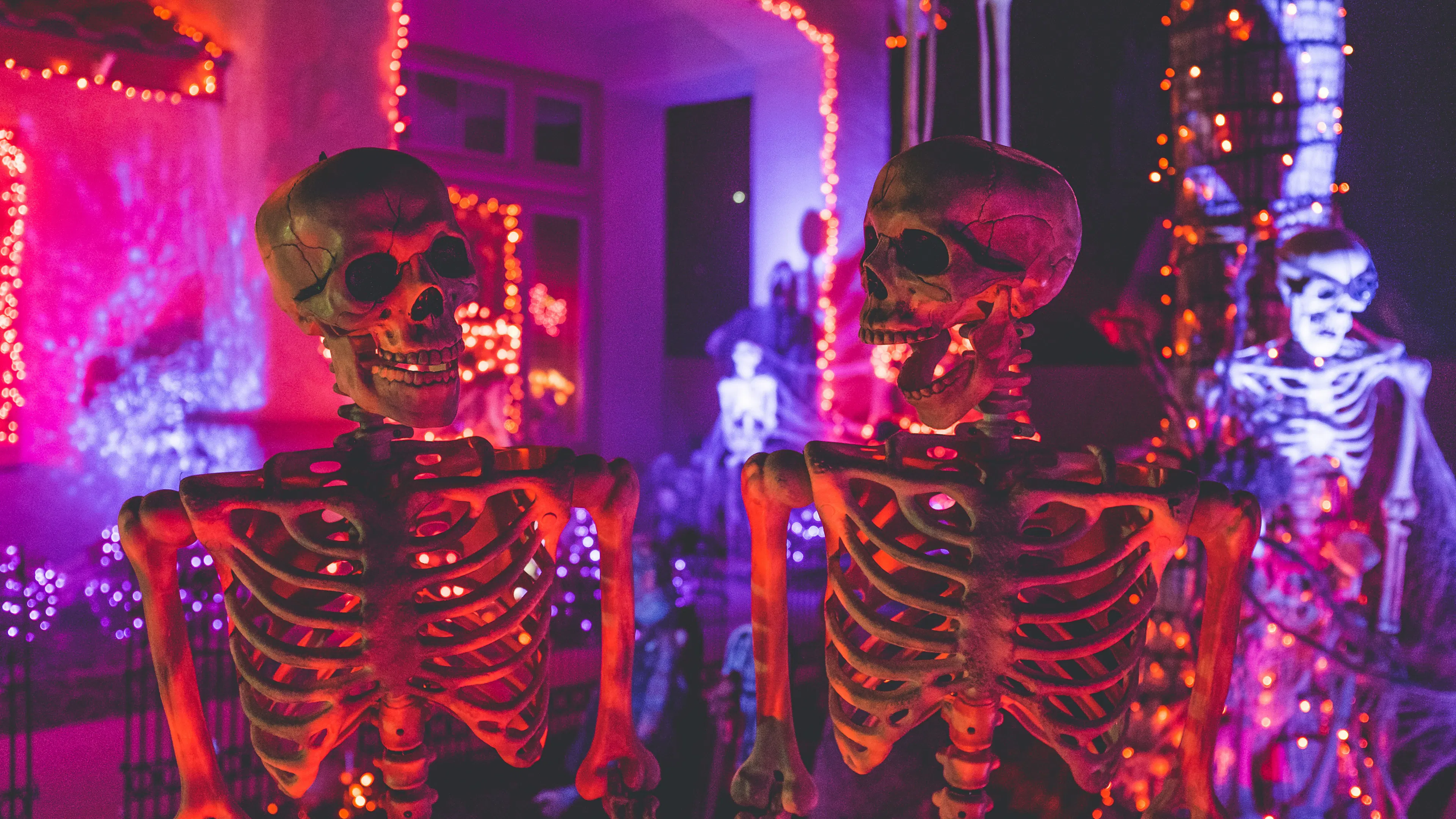 Two plastic skeletons placed to look as though they're laughing with each other in front of a house lit up with purple and red lights