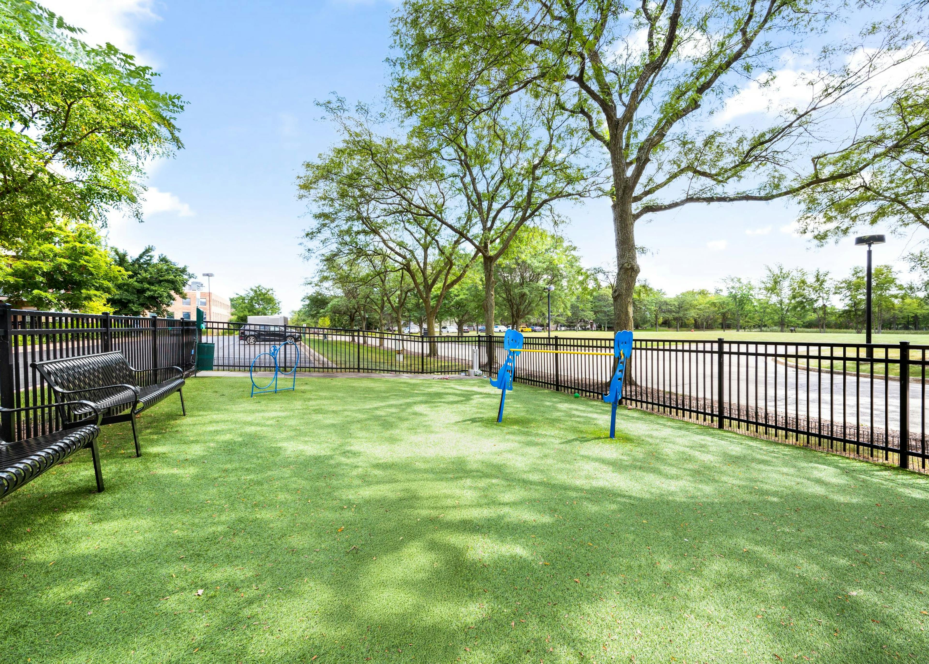 AMLI Deerfield fenced in dog park with benches and blue agility equipment set on grass and surrounded by trees 