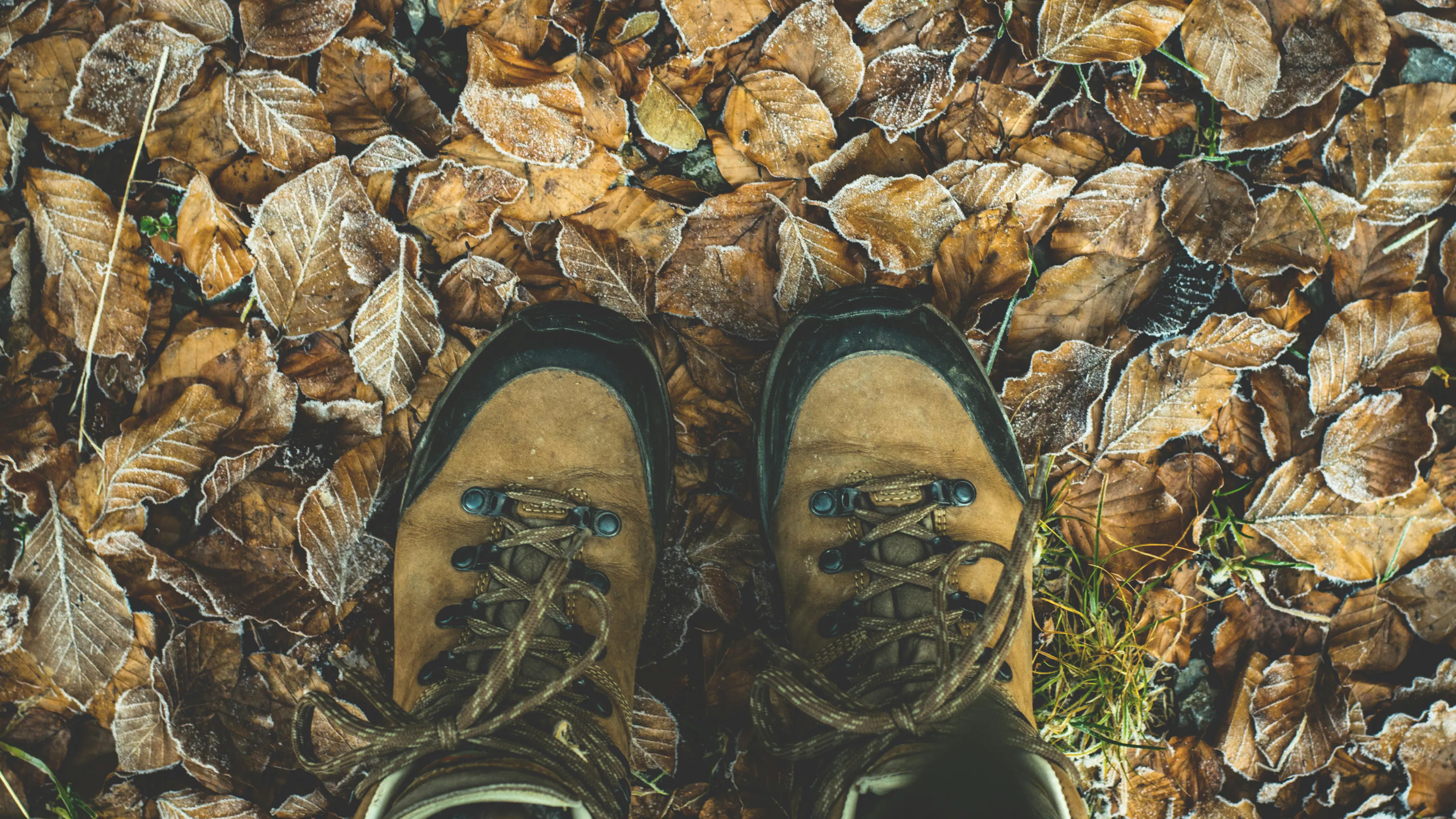 fall leaves on ground with hiking boots
