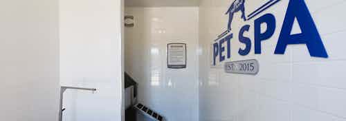 Paw wash at AMLI West Plano with a deep stainless steel sink and white tiled walls with a blue decal that says Pet Spa